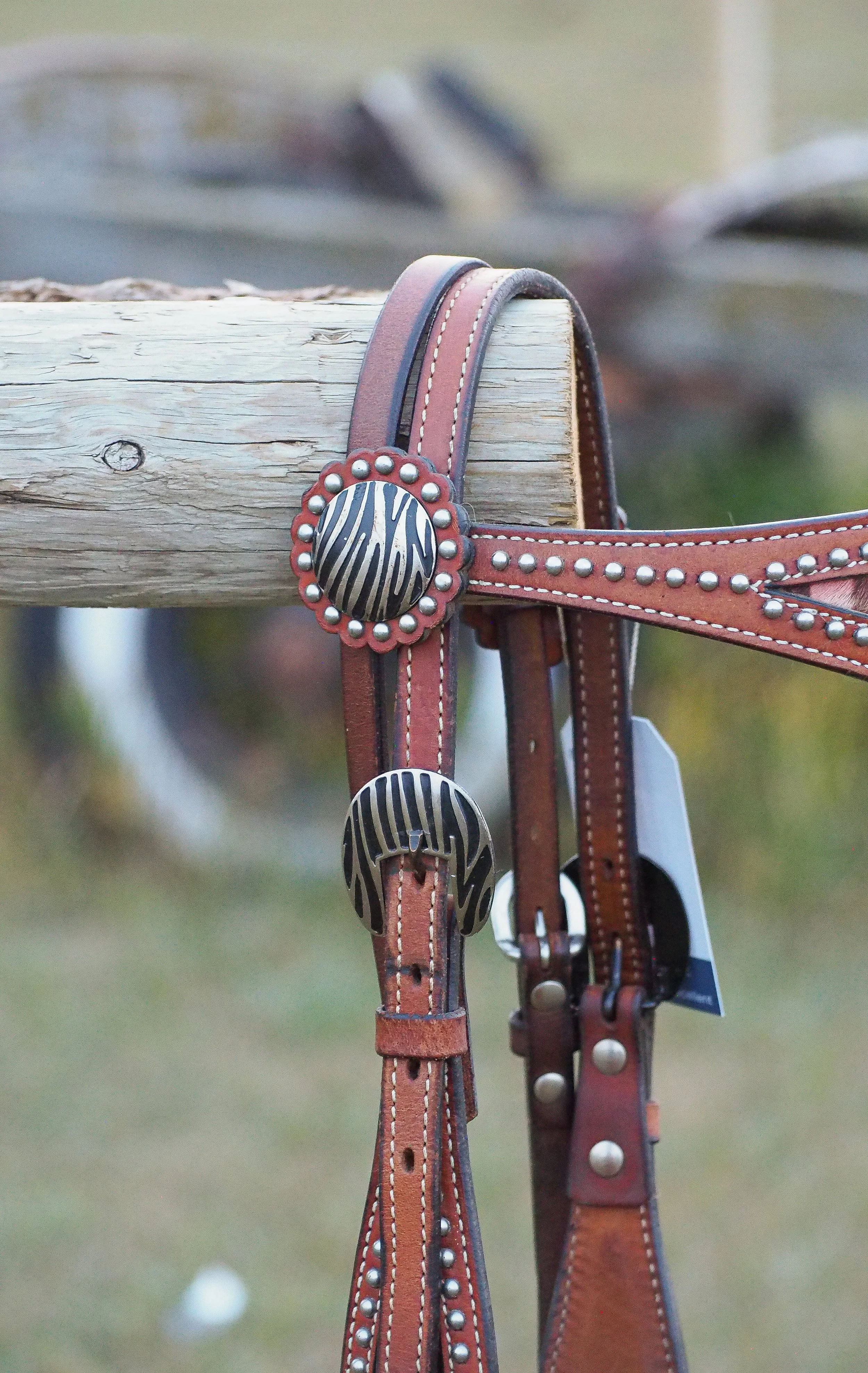 PA010560.jpg