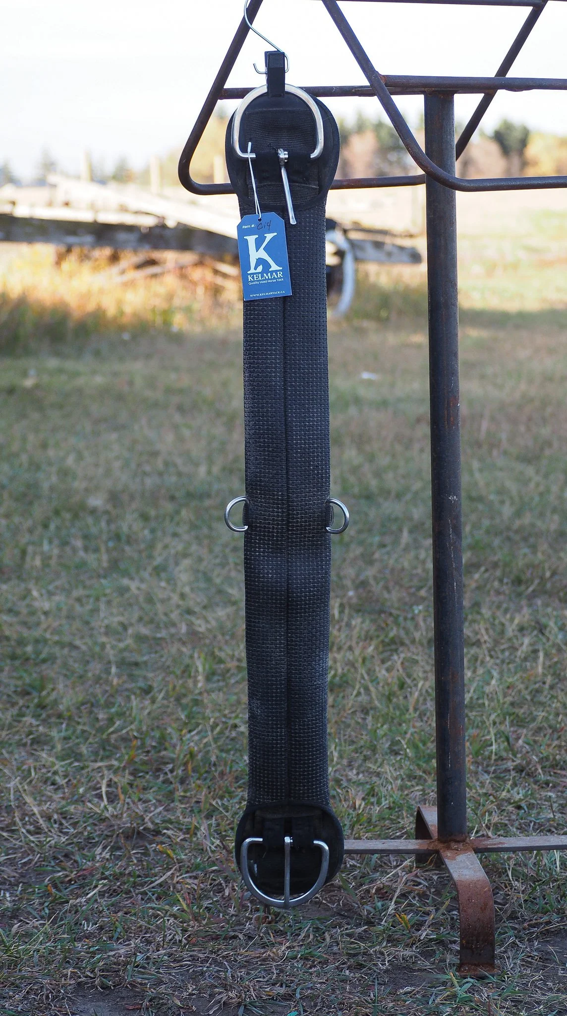Neoprene Cinch