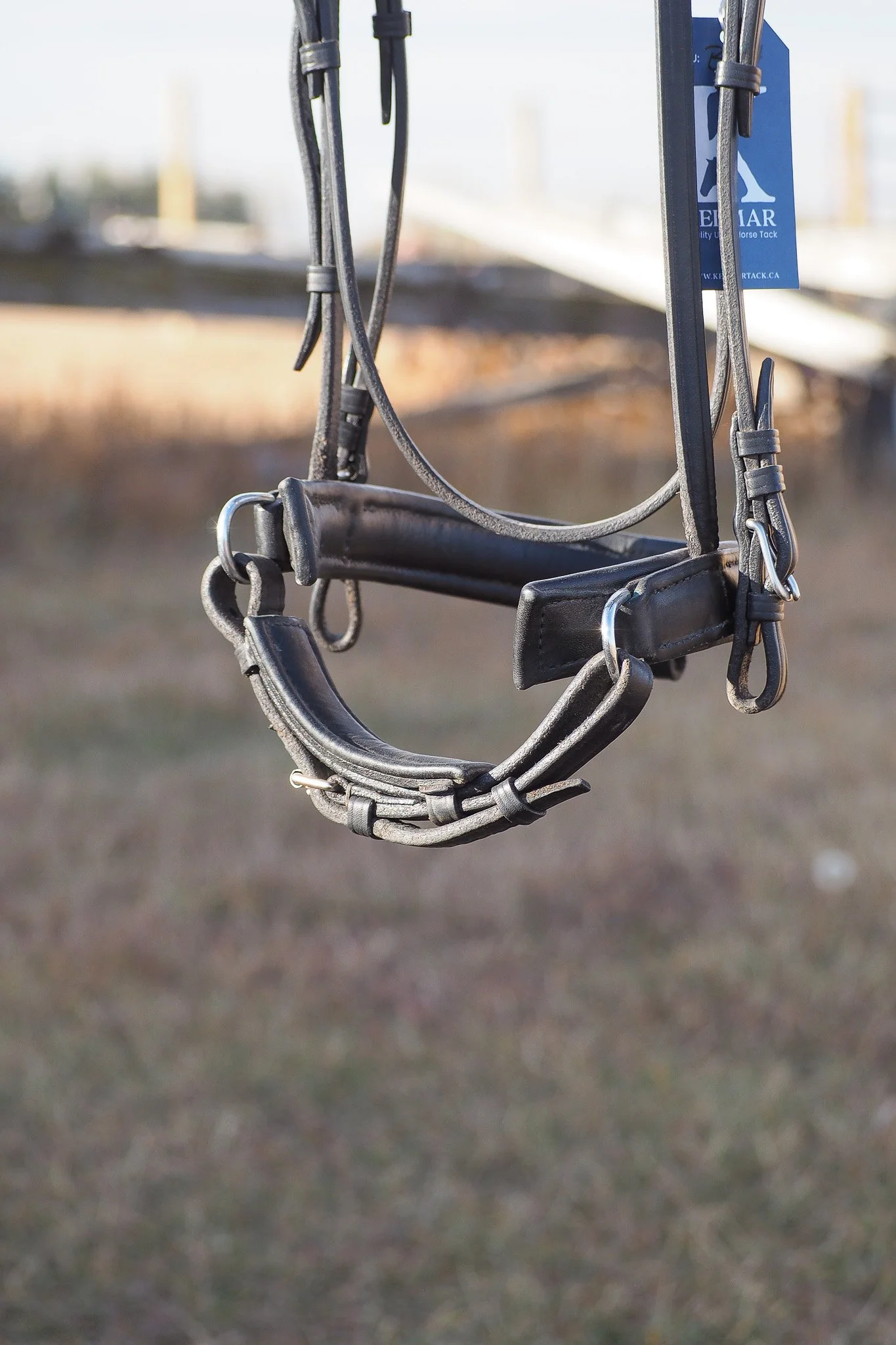 PA220124.jpg