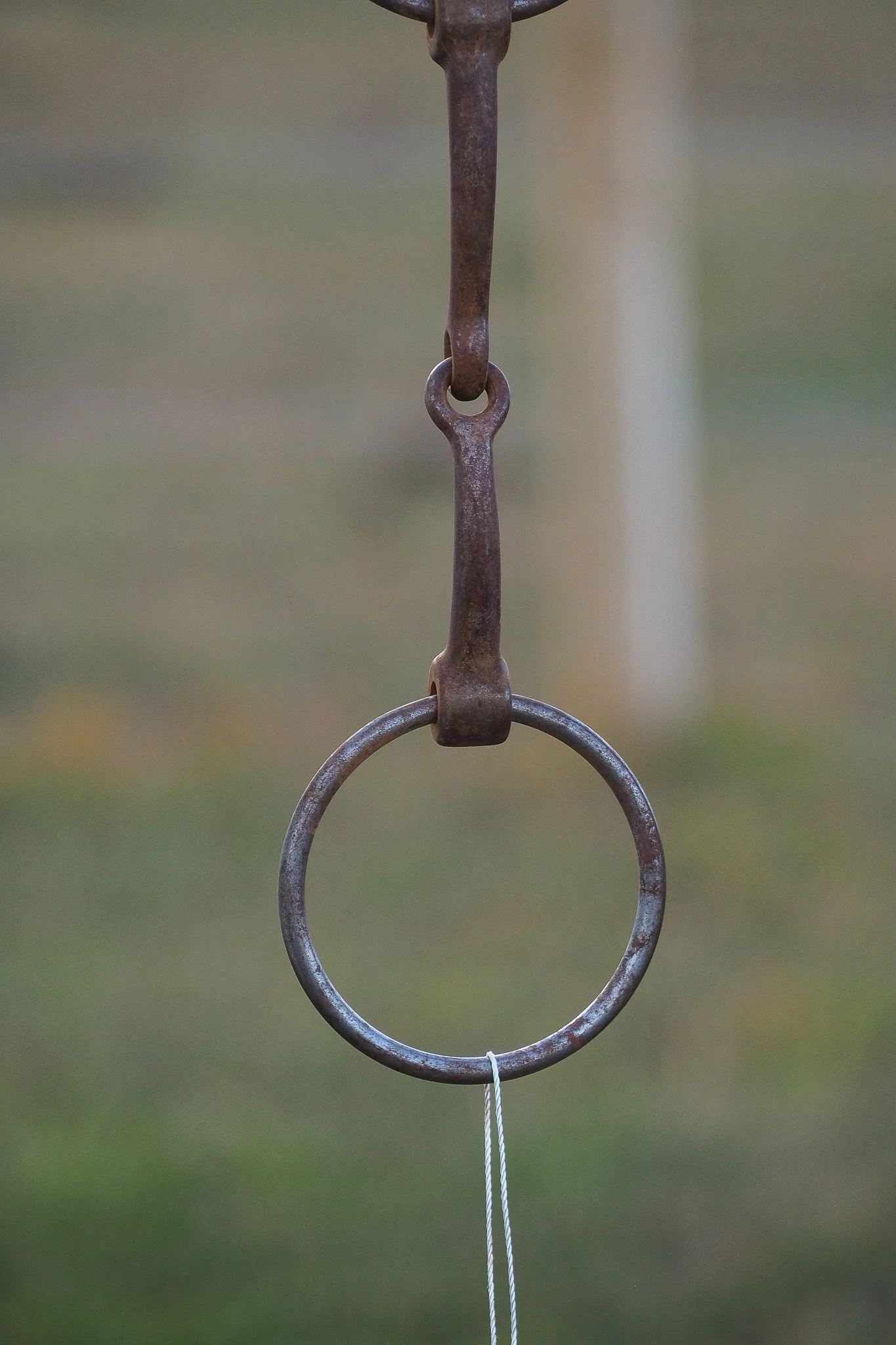 PA030618.jpg