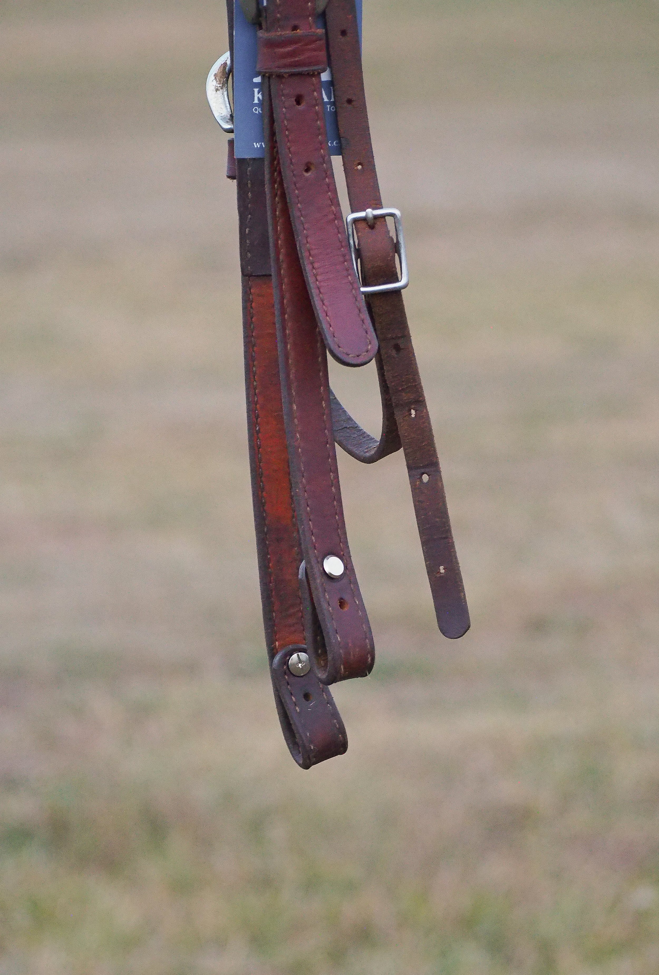 PA010590.jpg