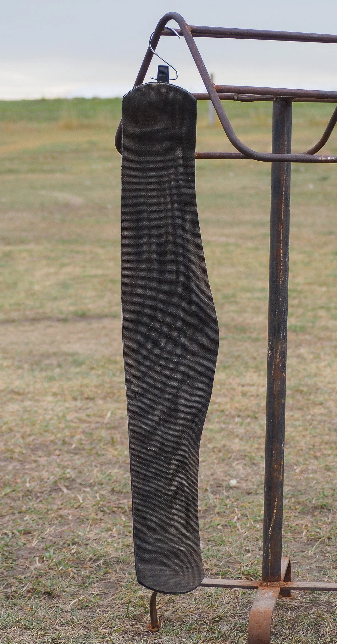 PA020507.jpg