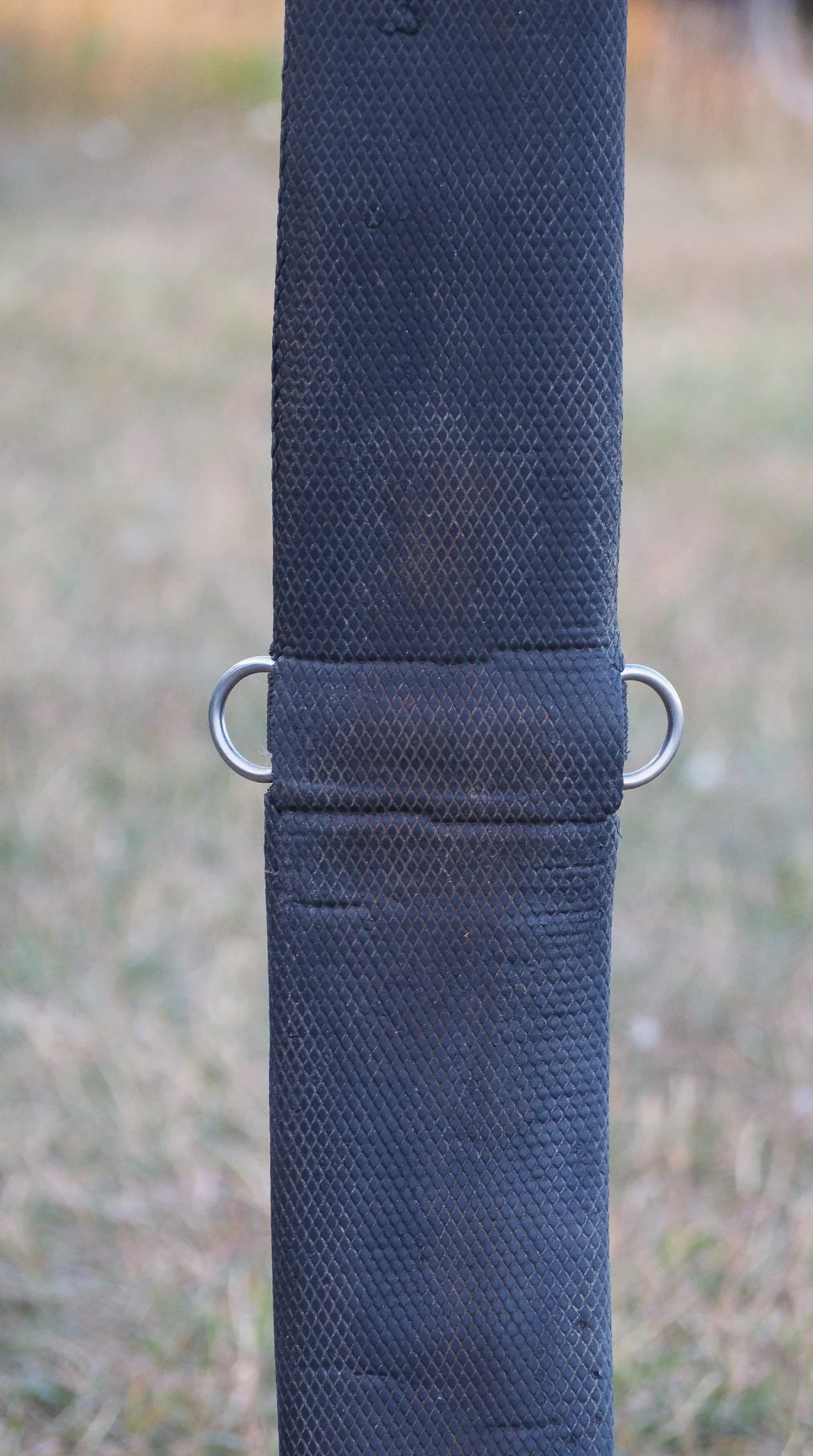 PA030548.jpg