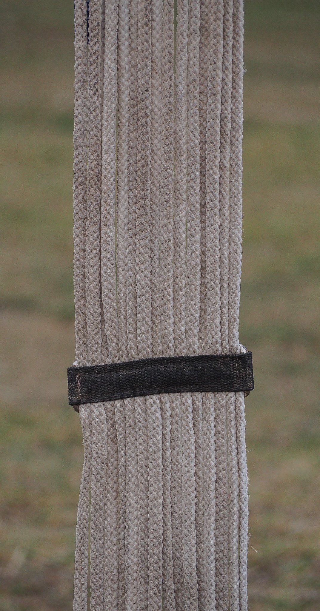 PA020563.jpg