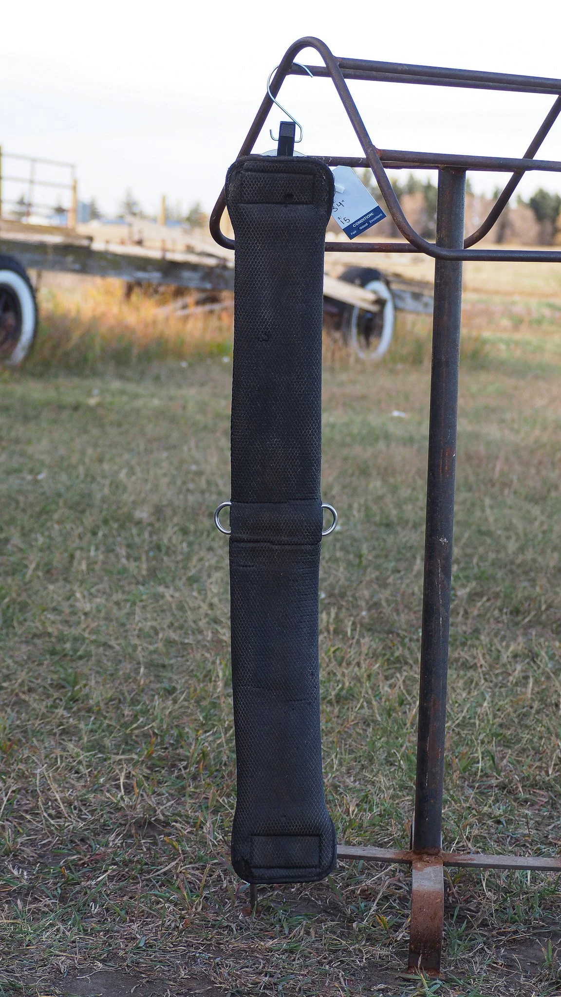 PA030547.jpg