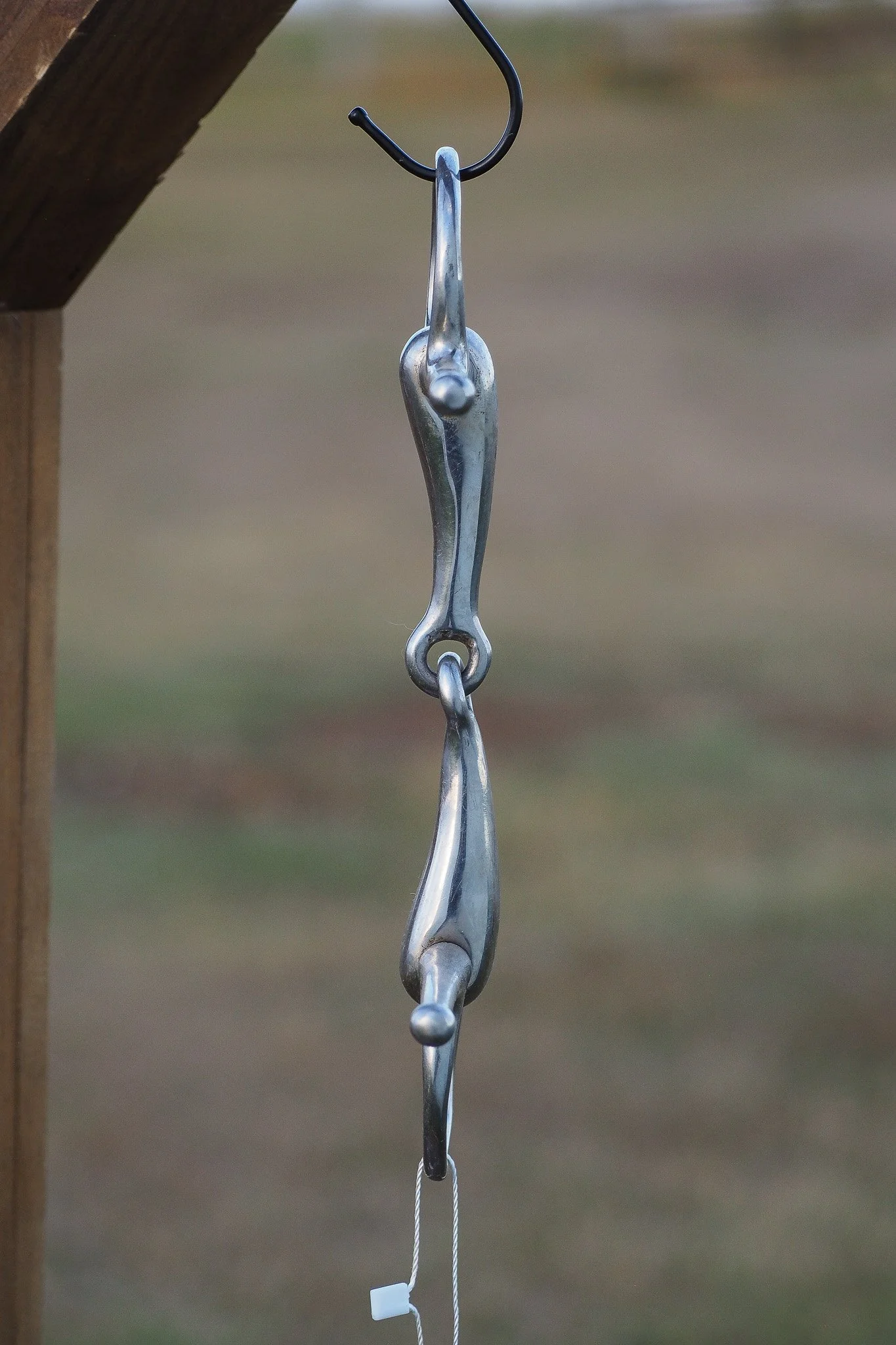 PA030635.jpg