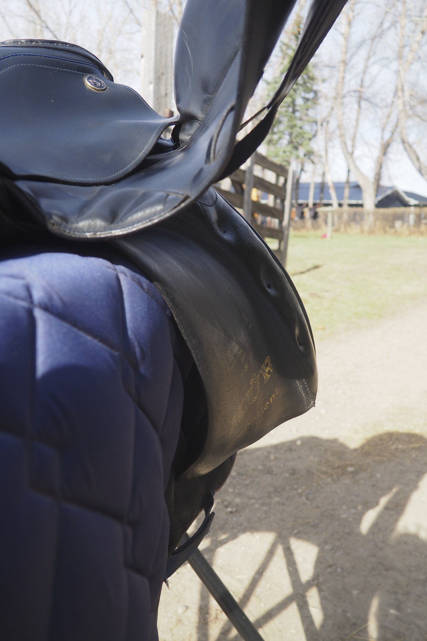 Keiffer Dressage (10).png