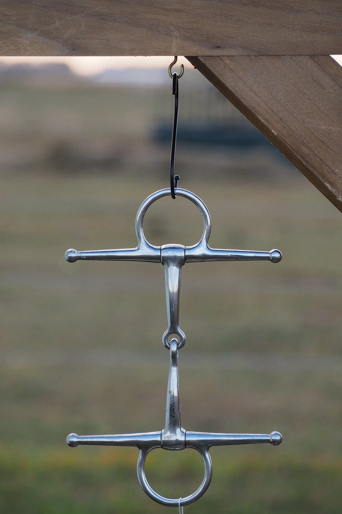 PA030659.jpg