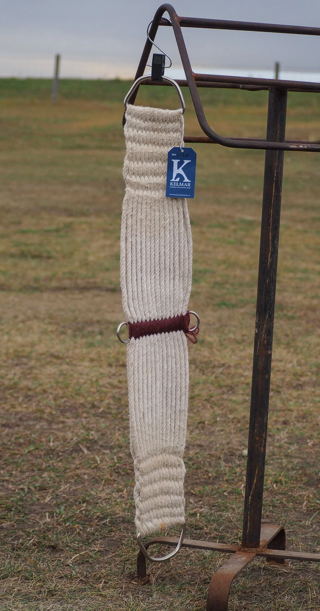 PA020589.jpg