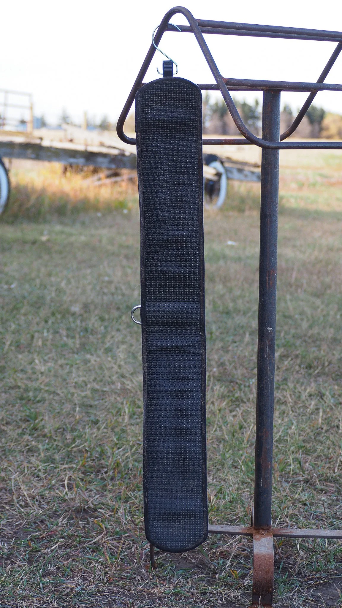 PA030523.jpg