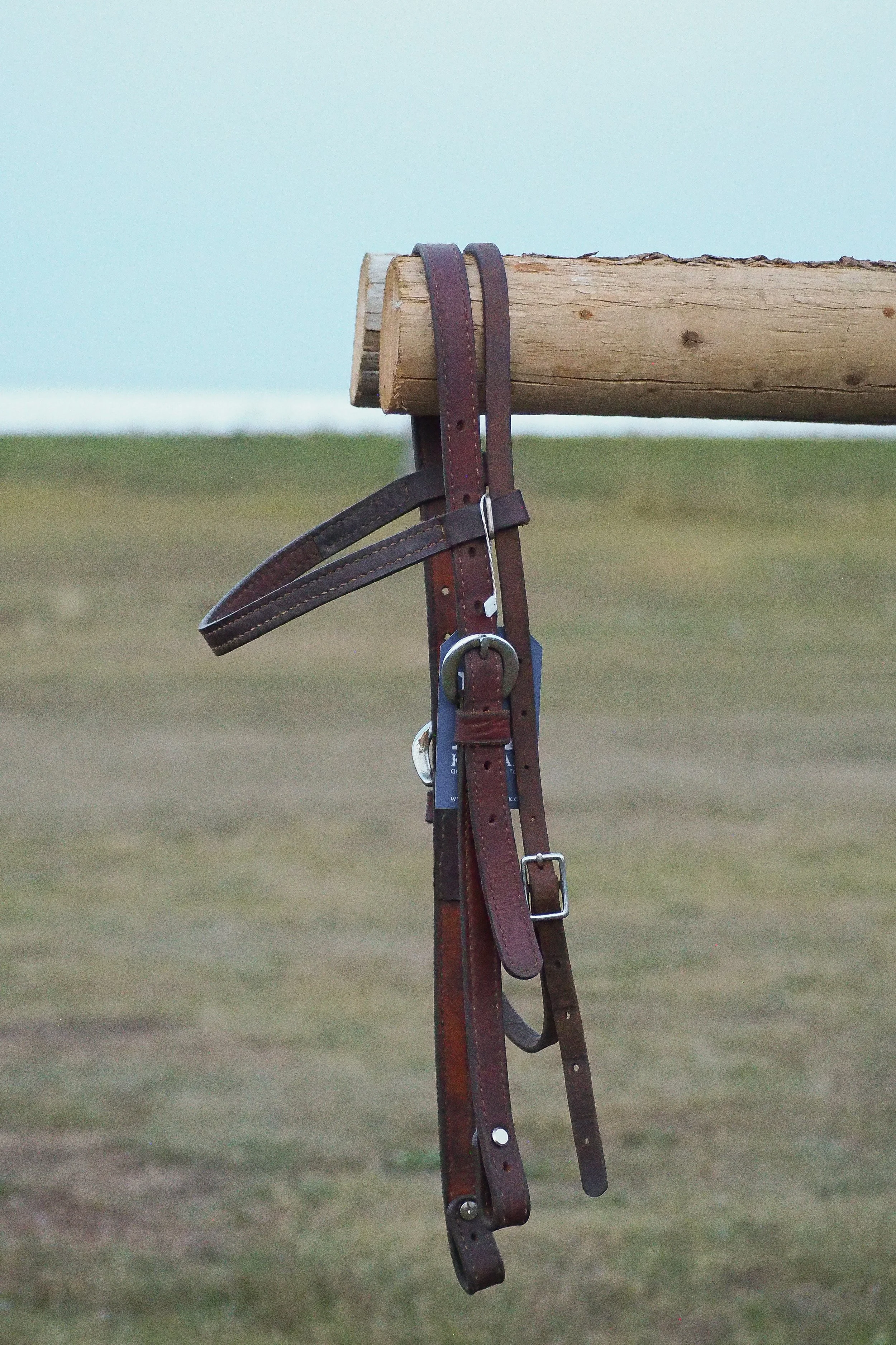 PA010588.jpg