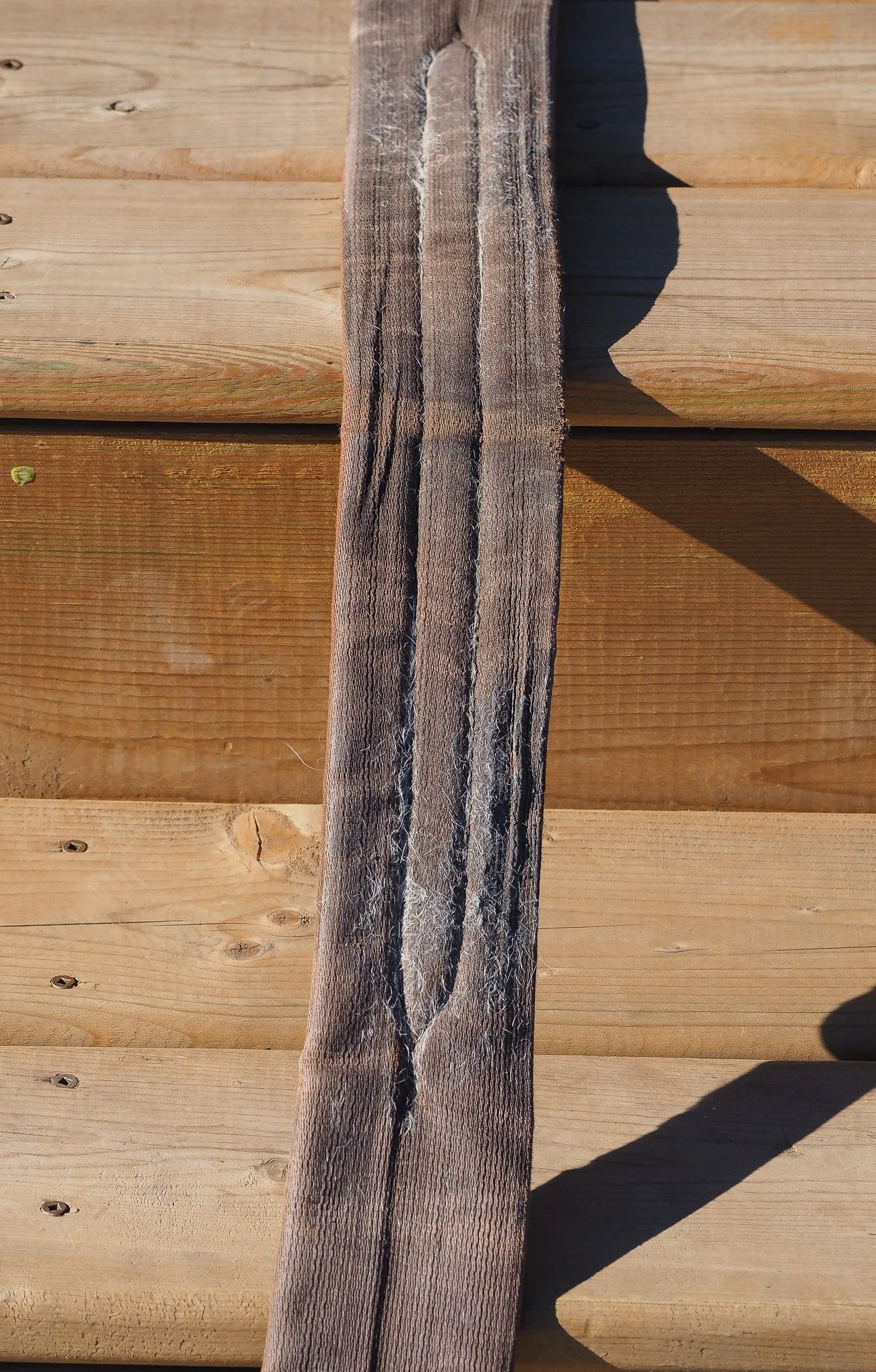 PA140096.jpg