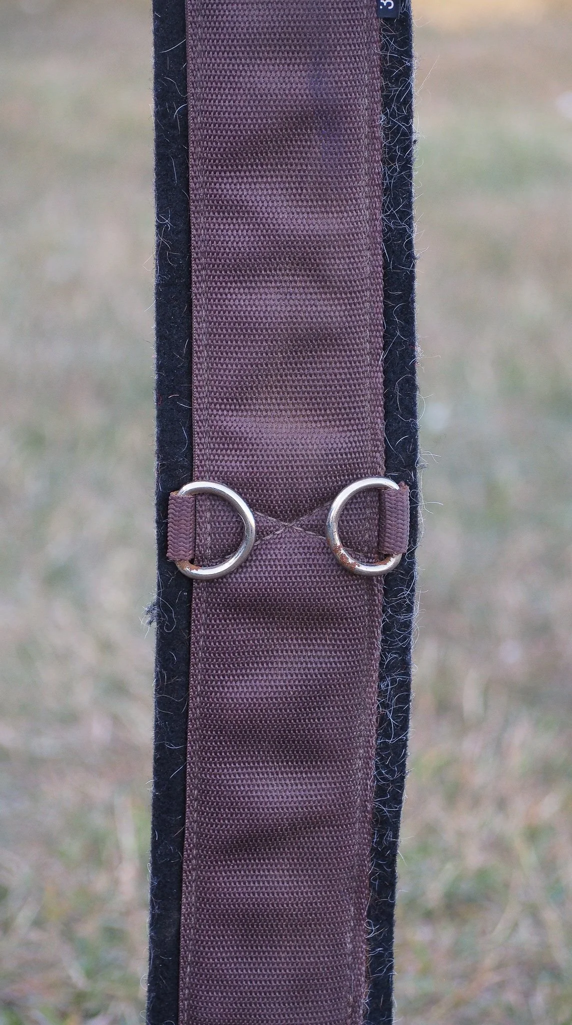PA030516.jpg