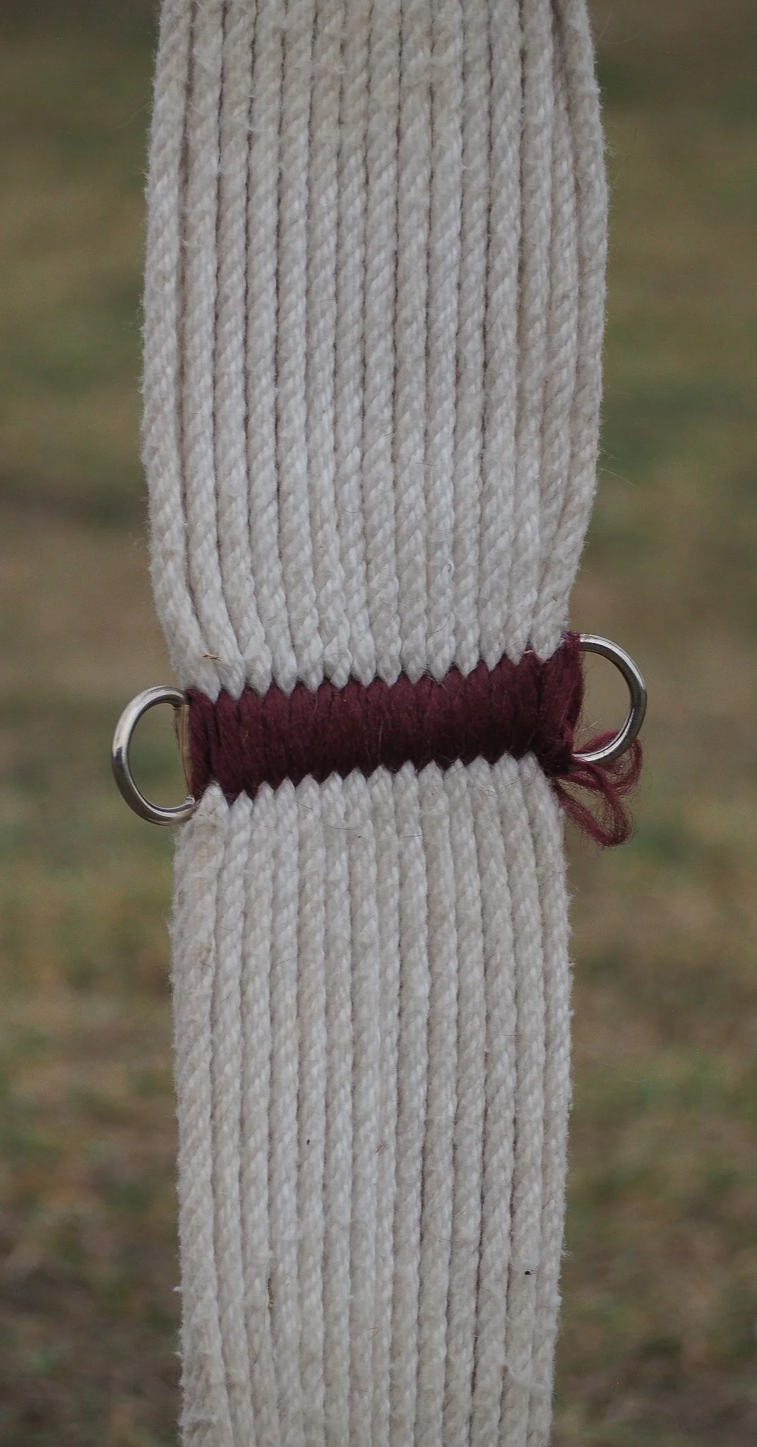 PA020590.jpg