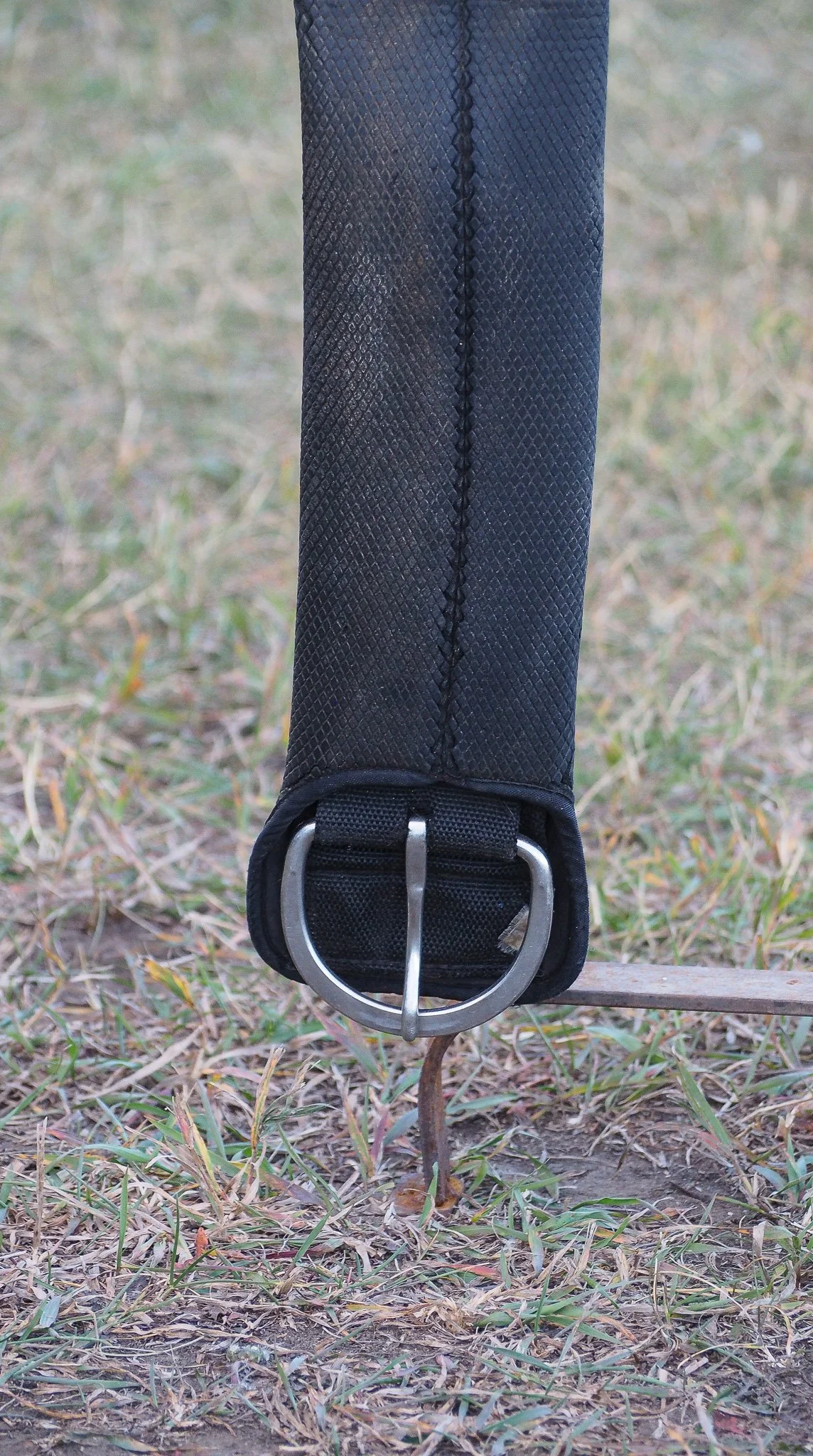 PA030545.jpg