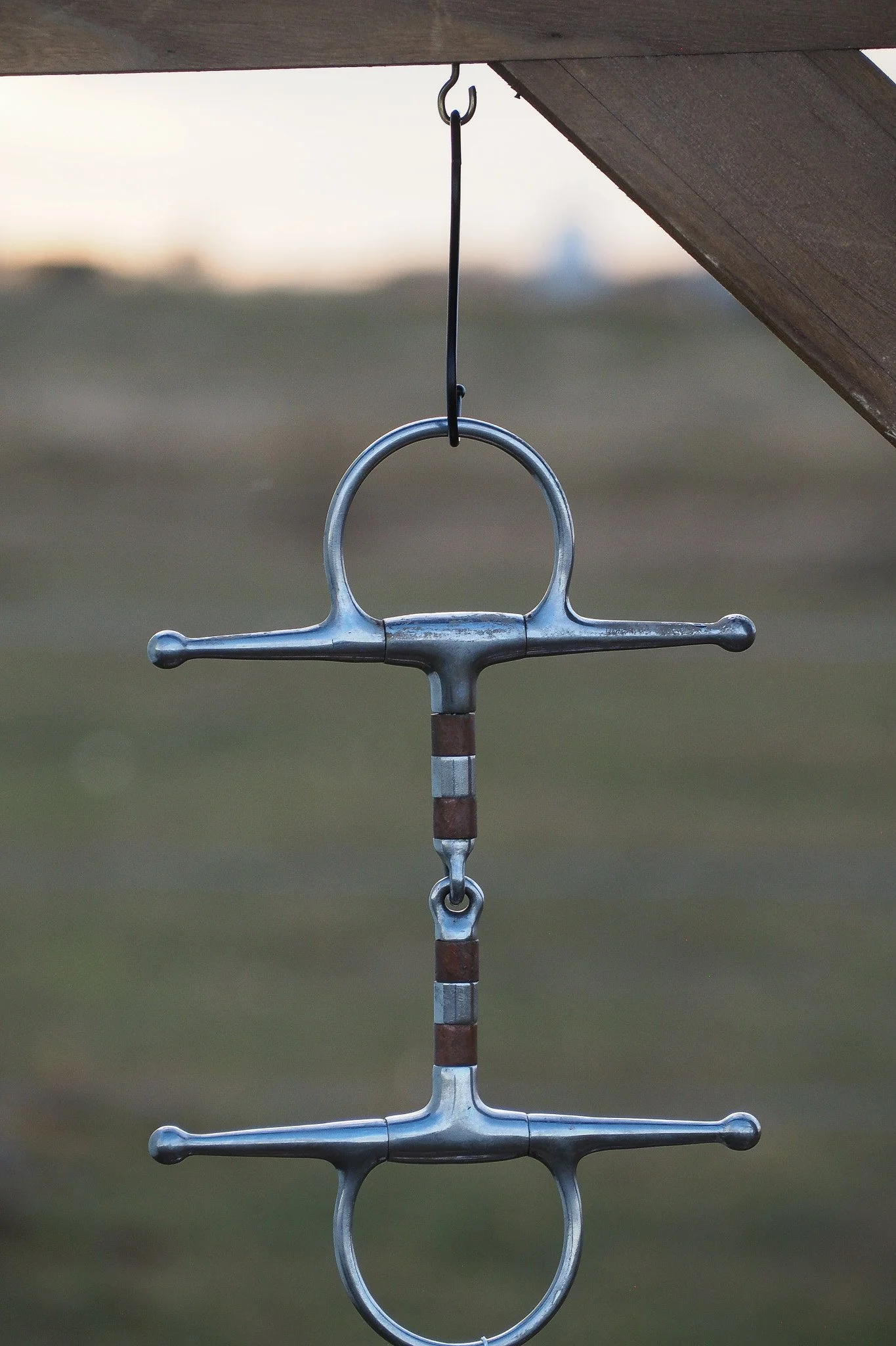 PA030654.jpg