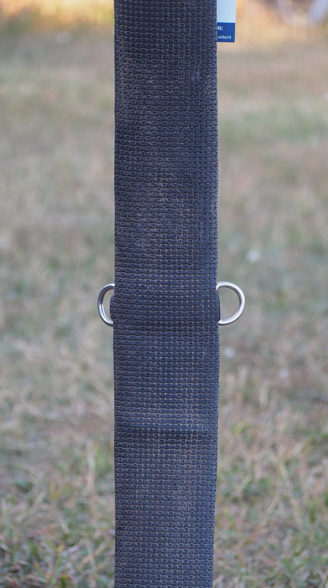 PA030498.jpg