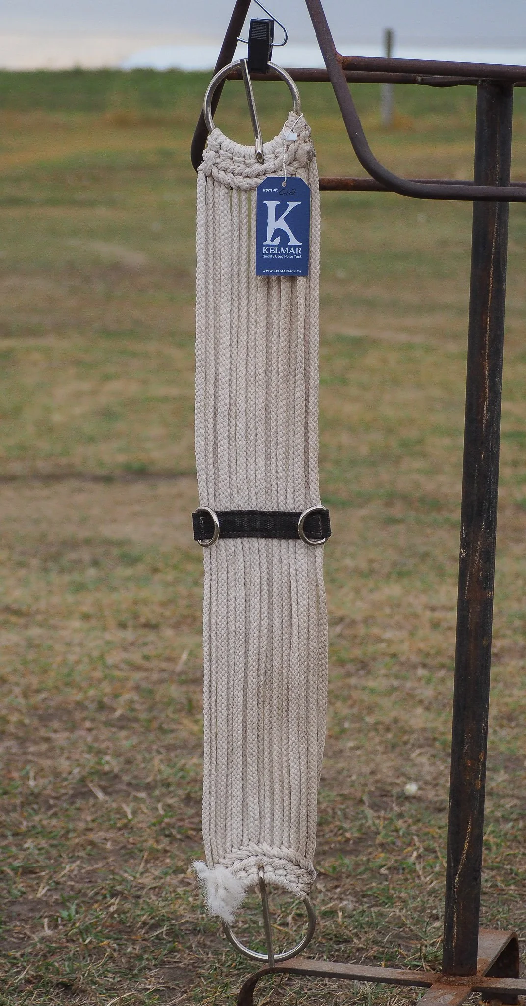 PA020558.jpg