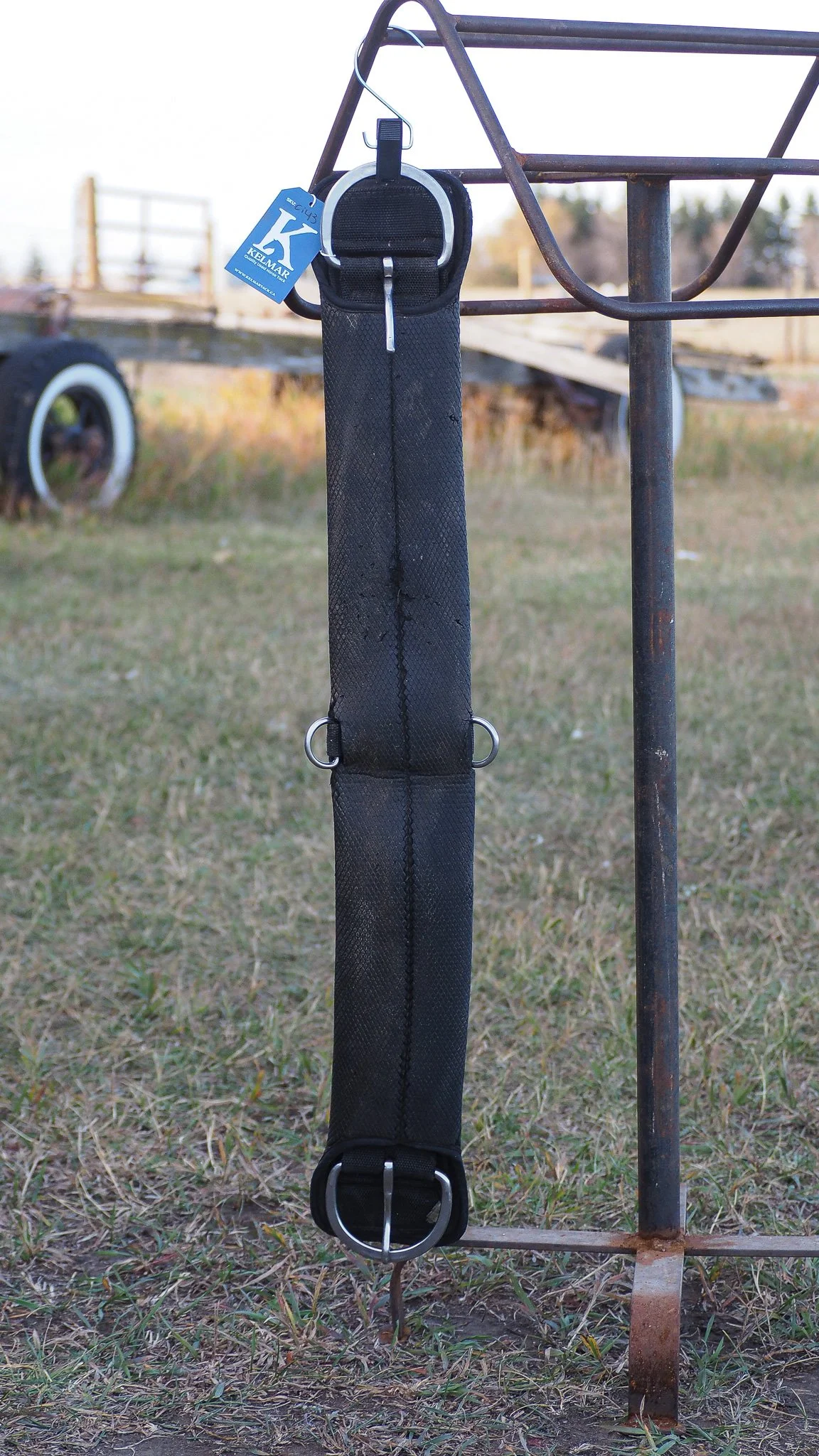 PA030543.jpg