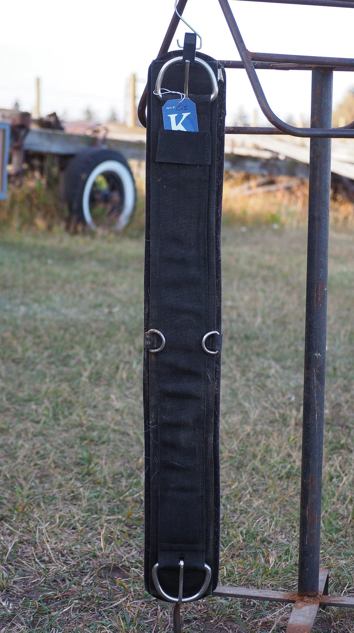 PA030519.jpg