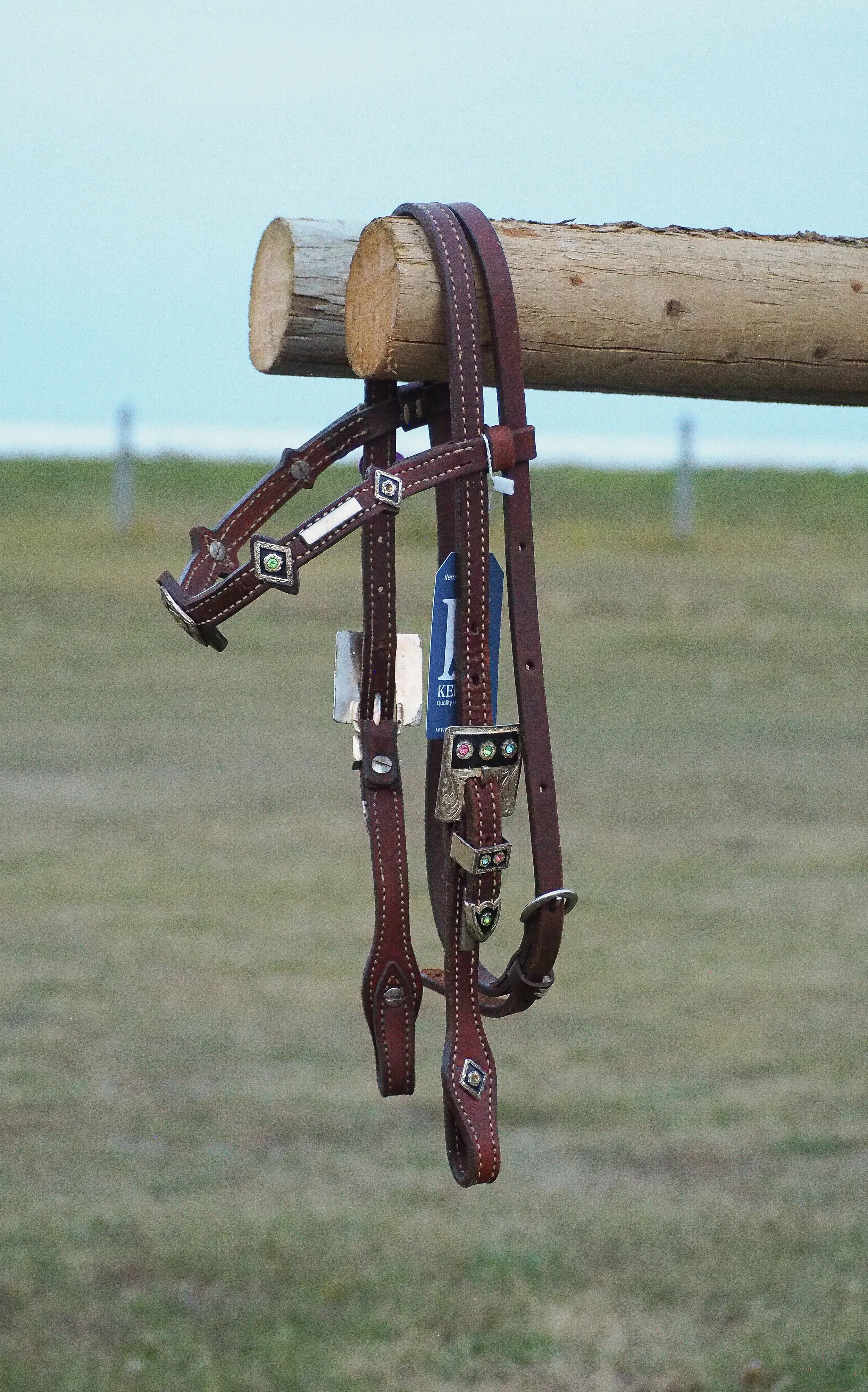 PA010568.jpg