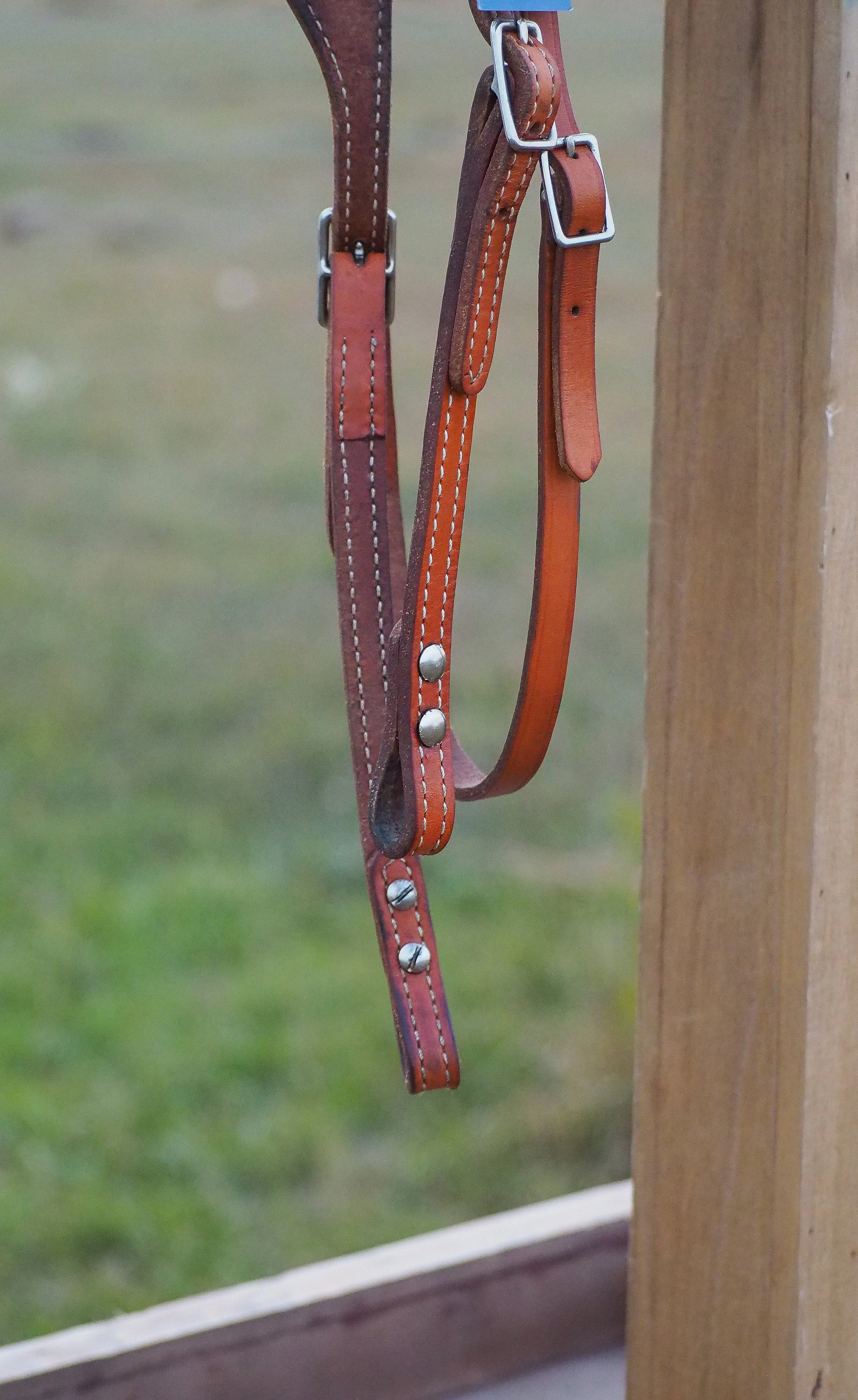PA010514.jpg