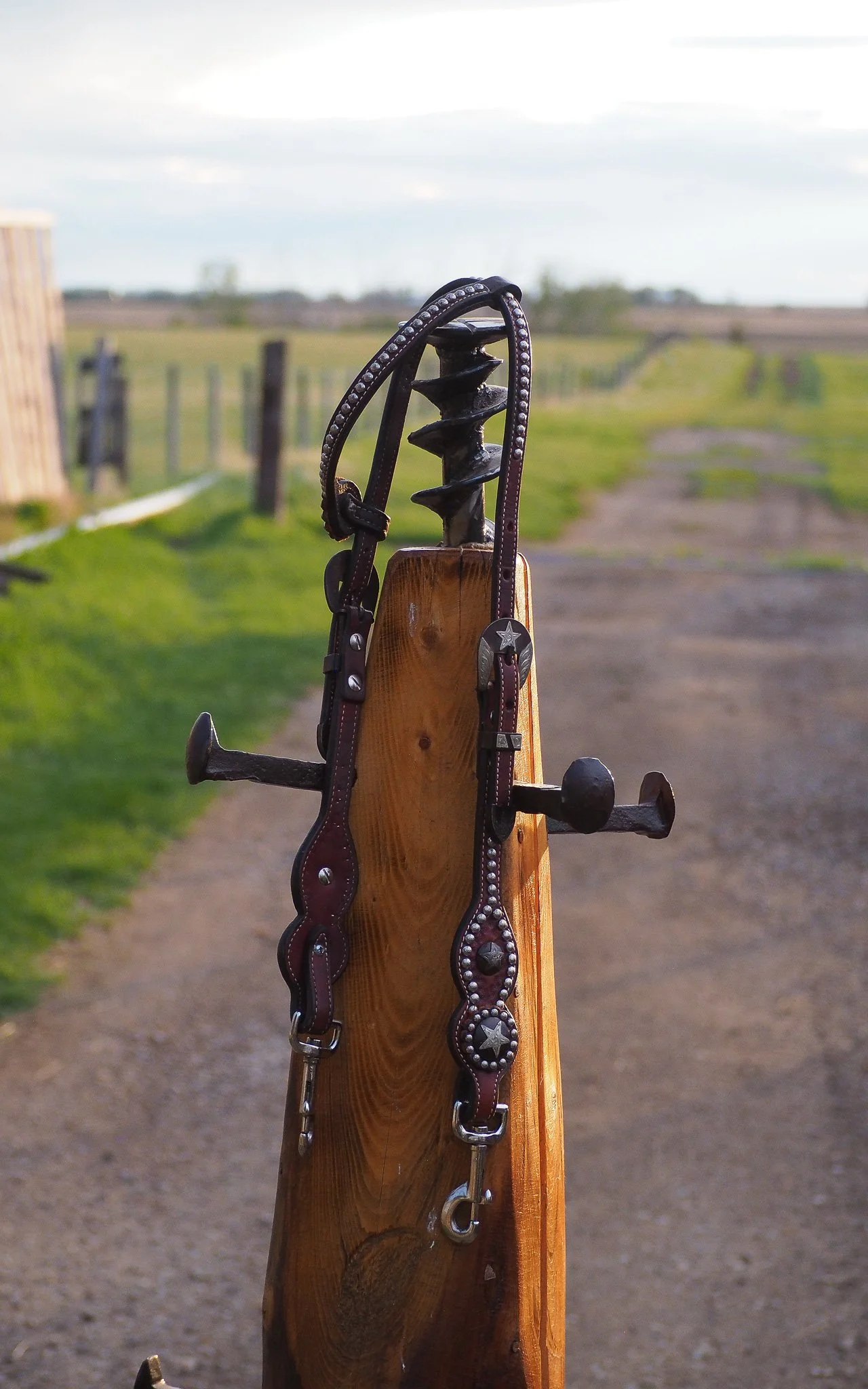 Silver Star Headstall