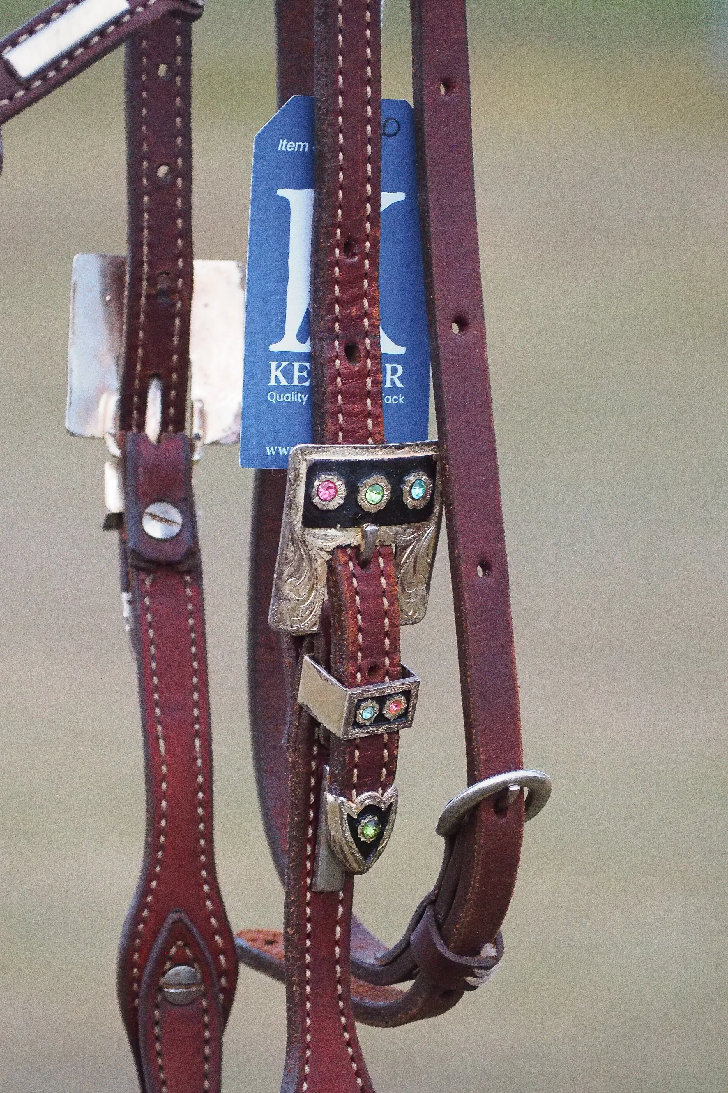 PA010569.jpg