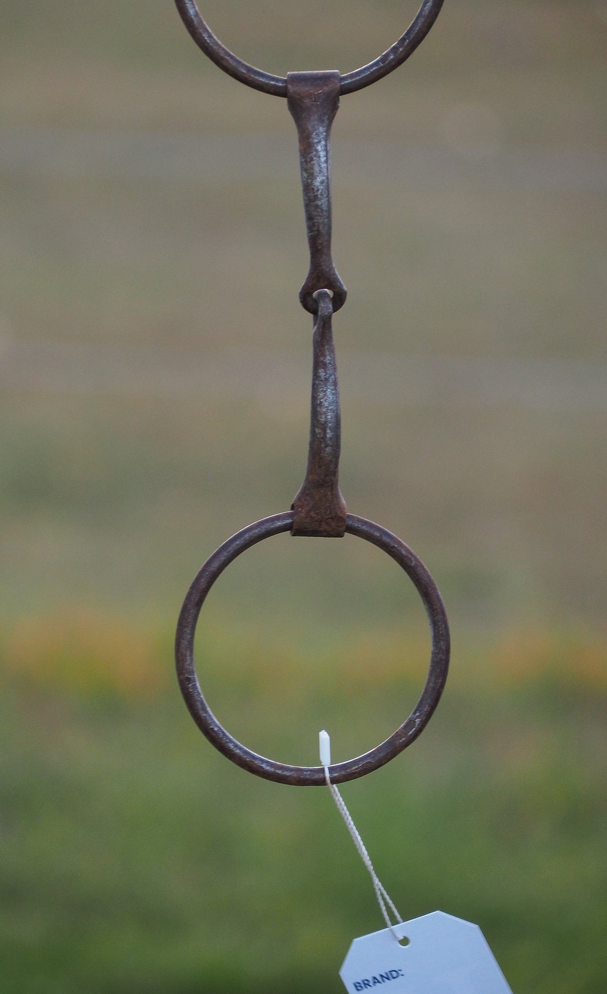PA030629.jpg