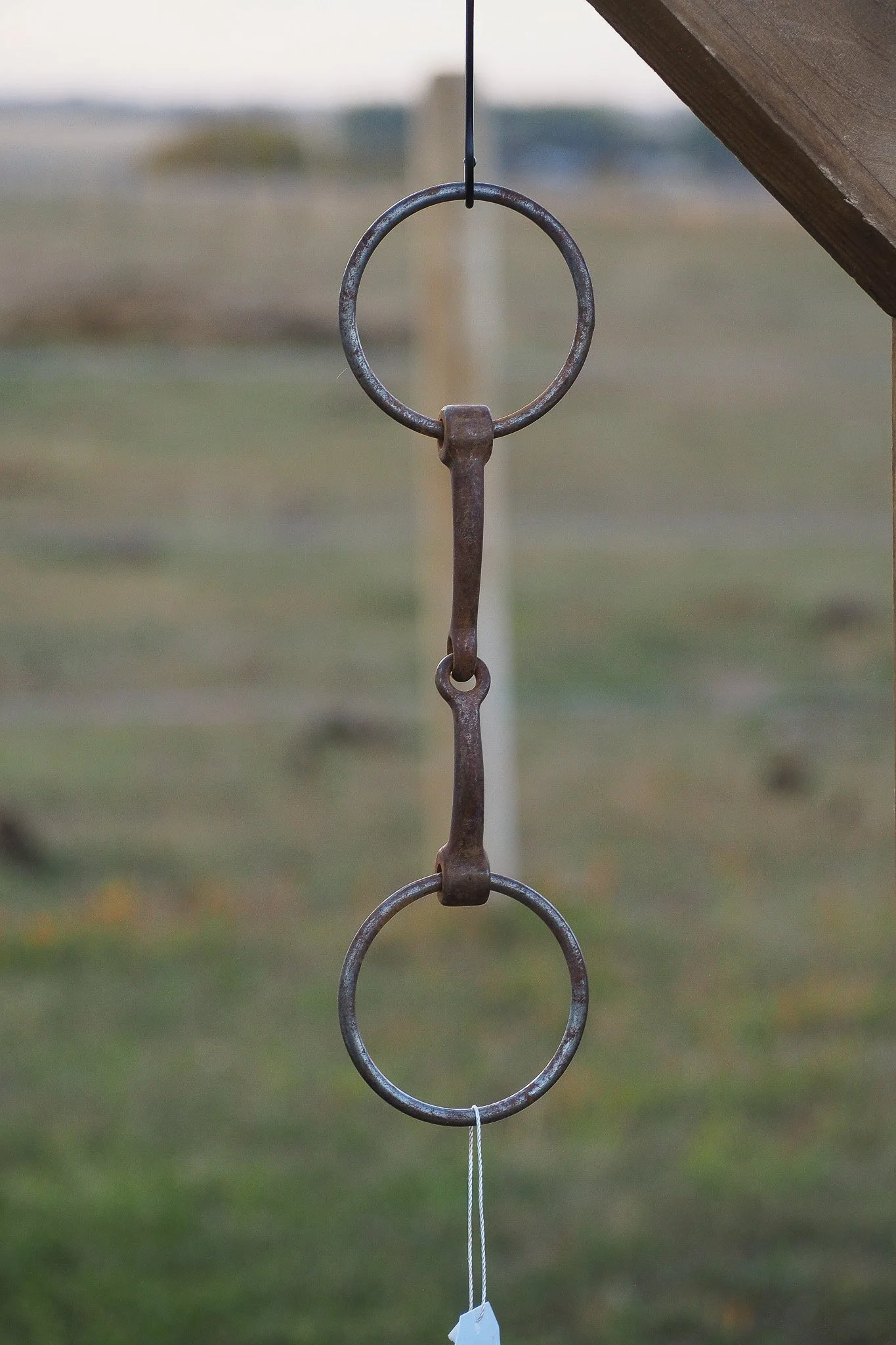 PA030616.jpg