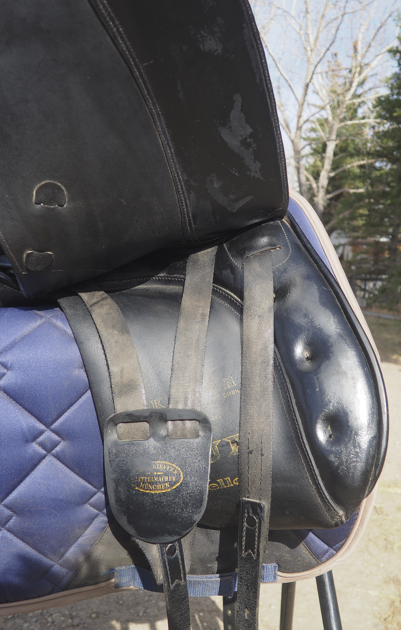 Keiffer Dressage (1).png