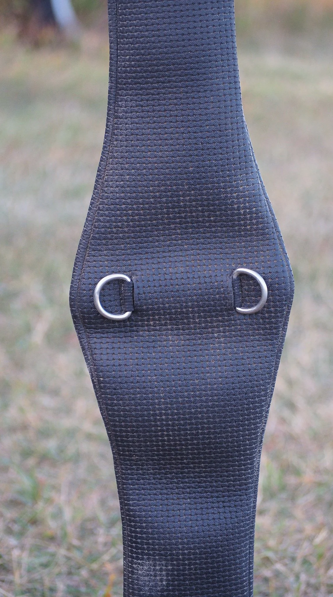 PA030565.jpg