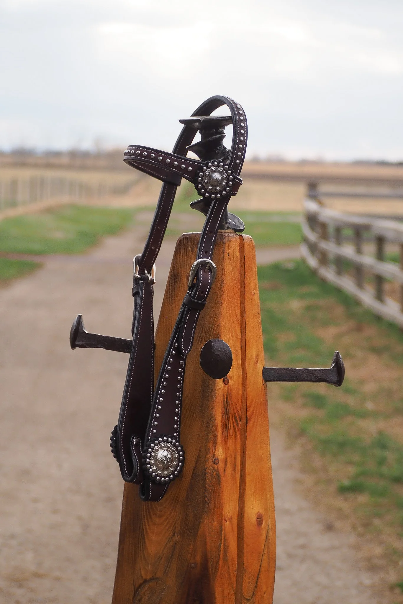 Silver Accent Headstall