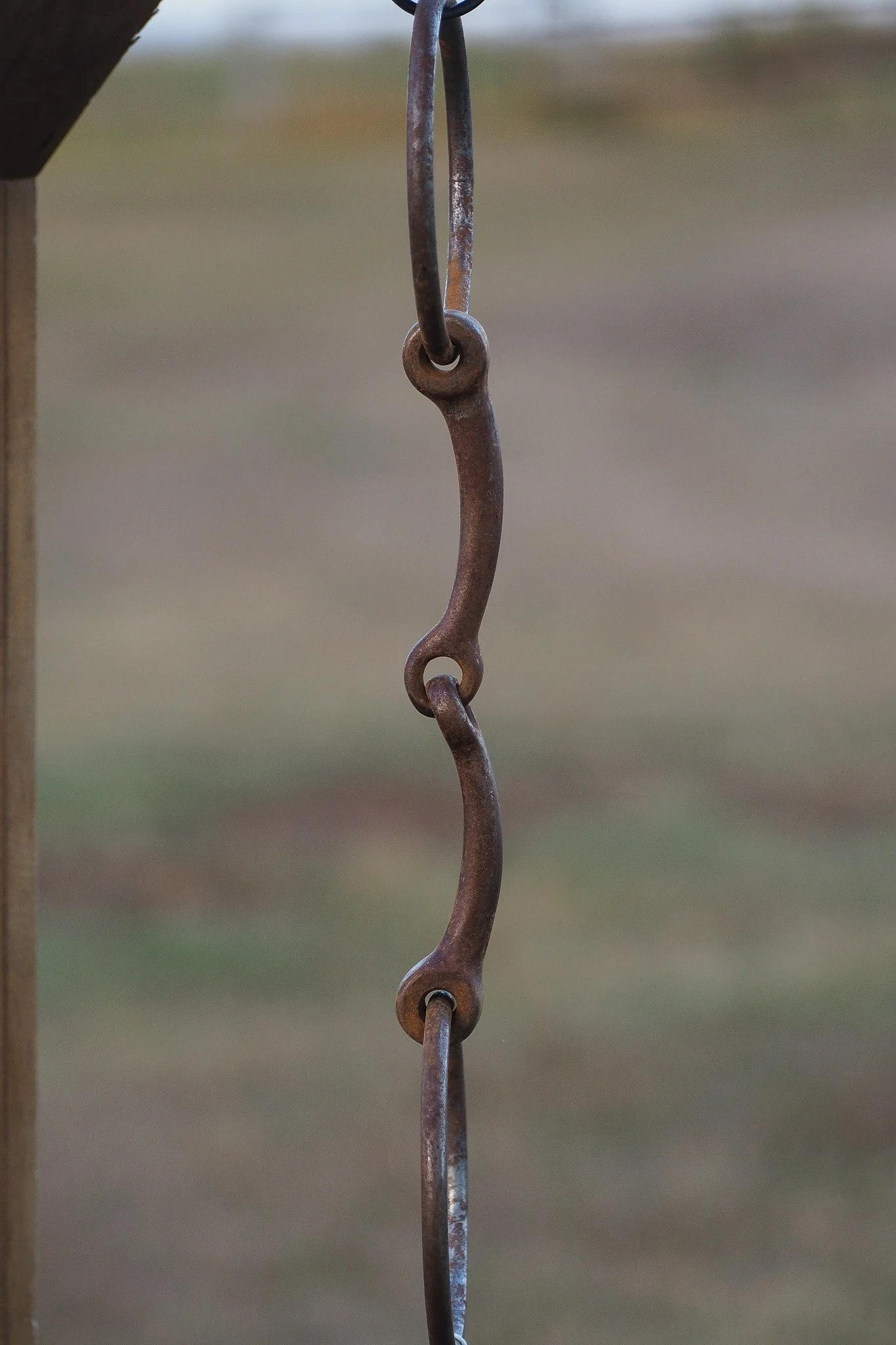PA030619.jpg