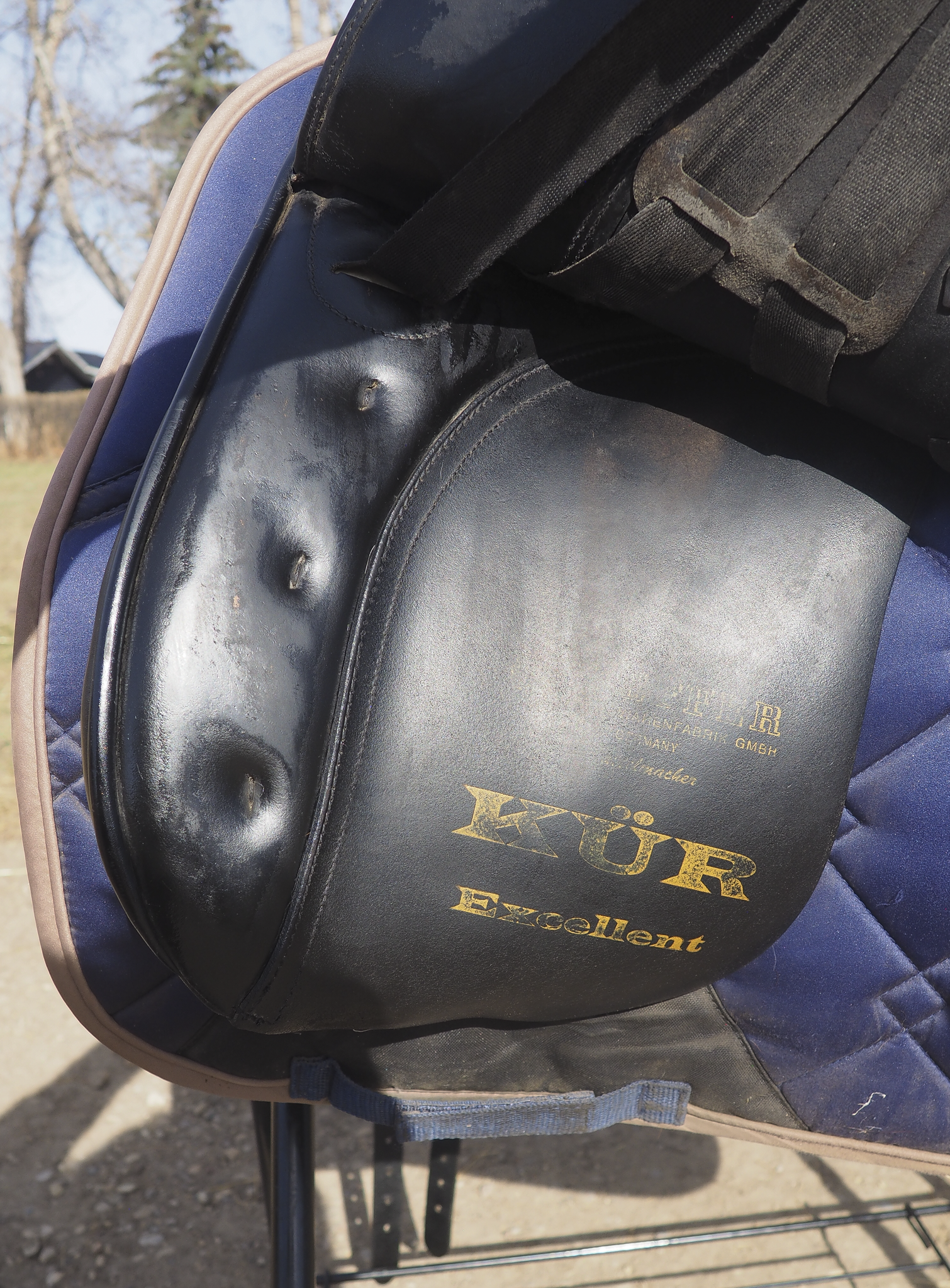 Keiffer Dressage (7).png