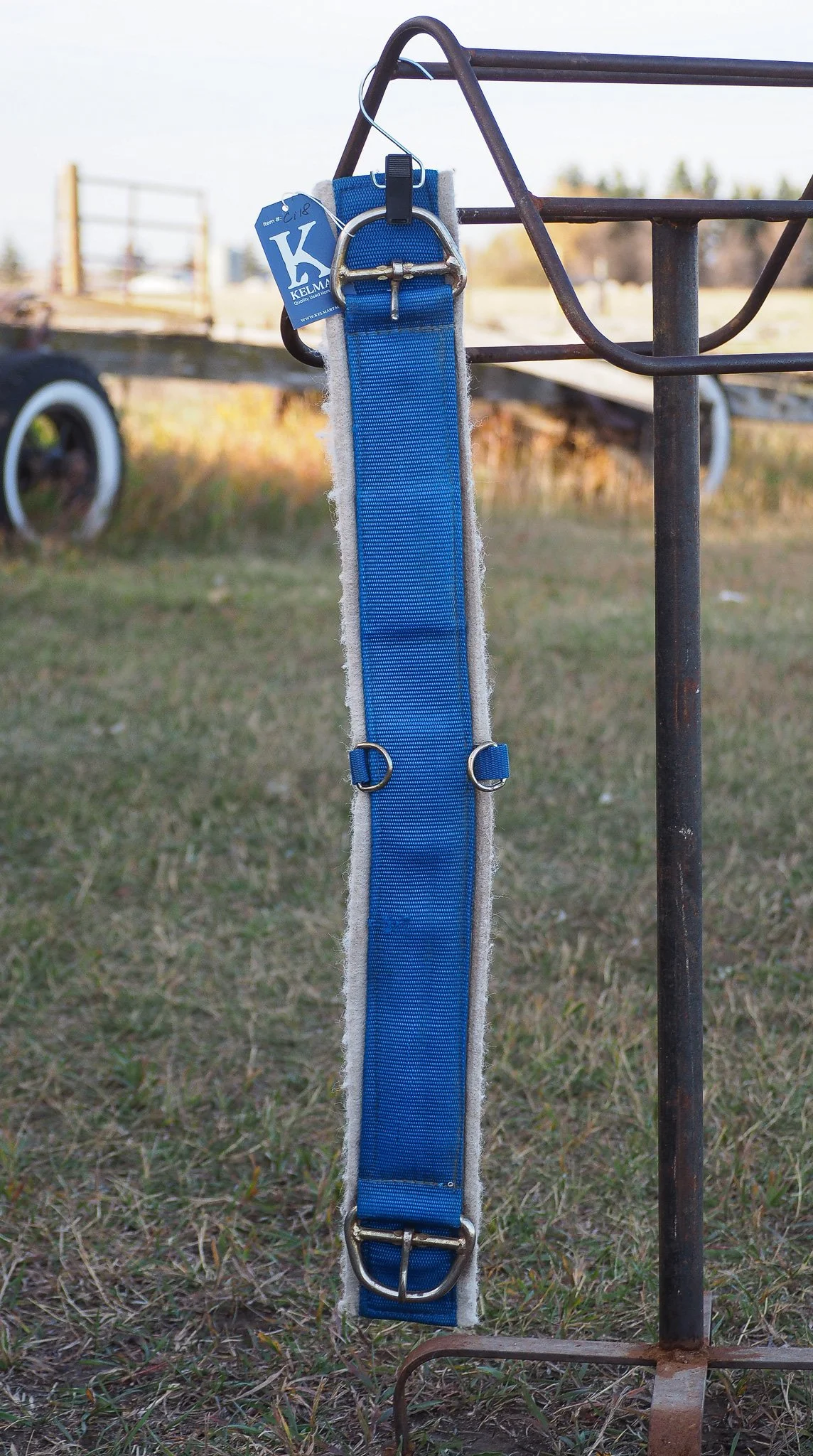 PA030549.jpg