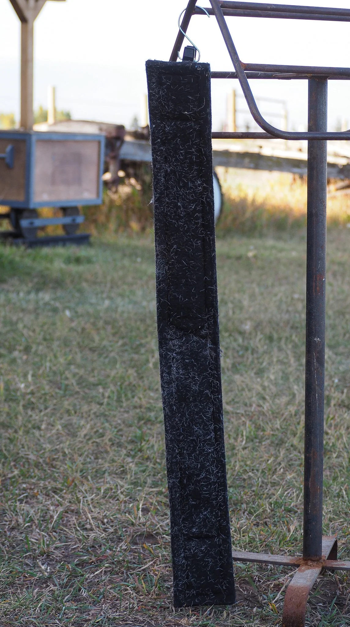 PA030517.jpg