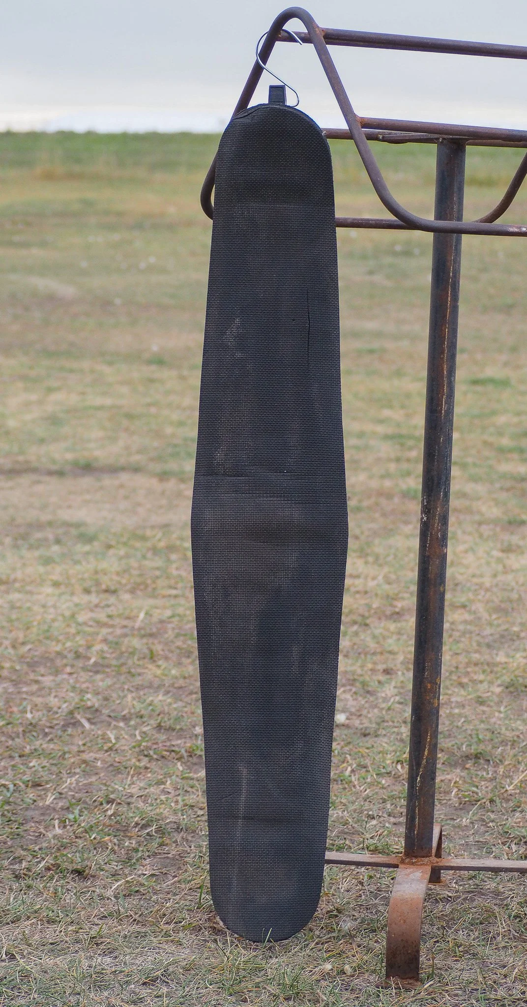 PA020502.jpg