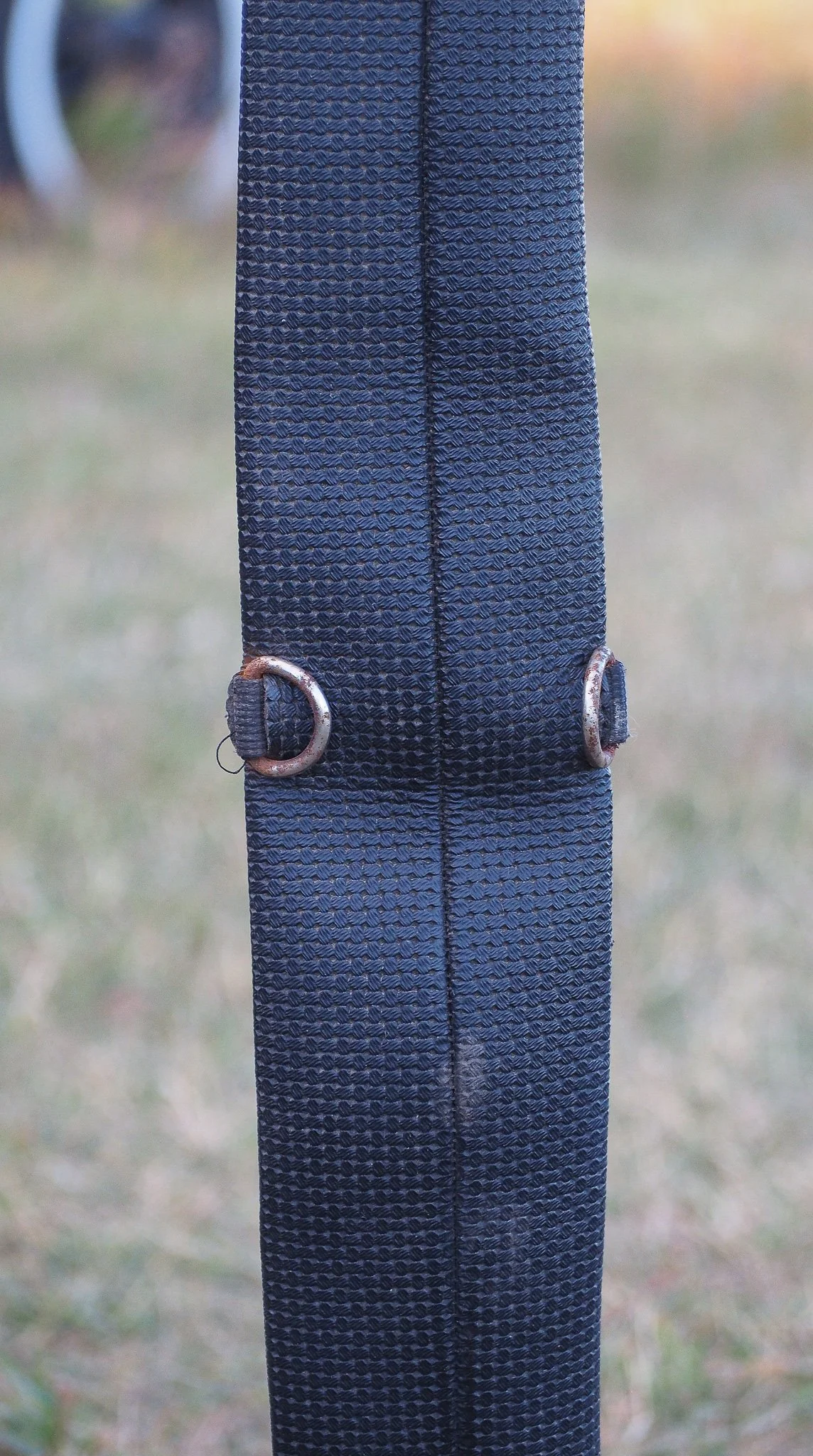 PA030534.jpg