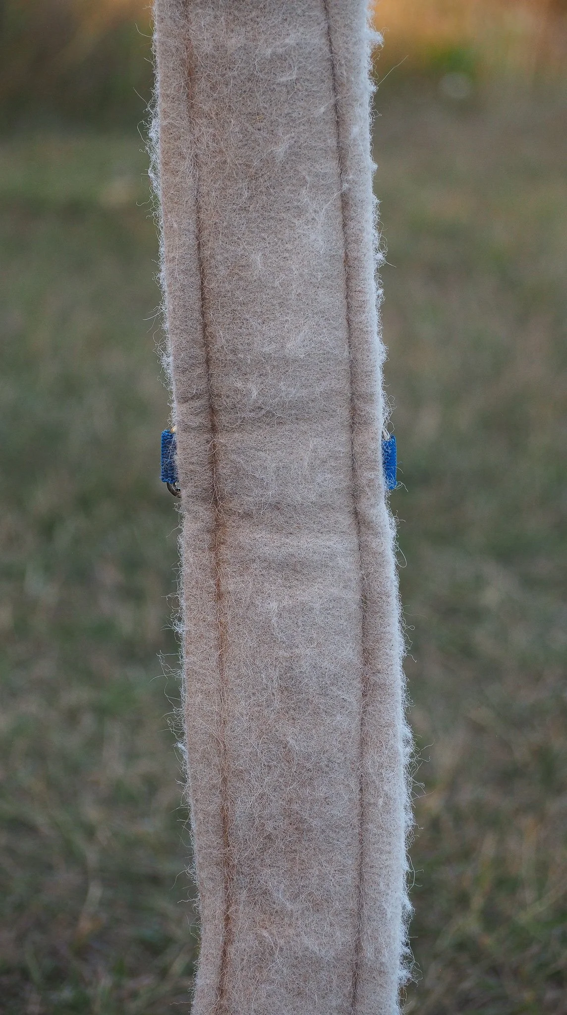 PA030554.jpg
