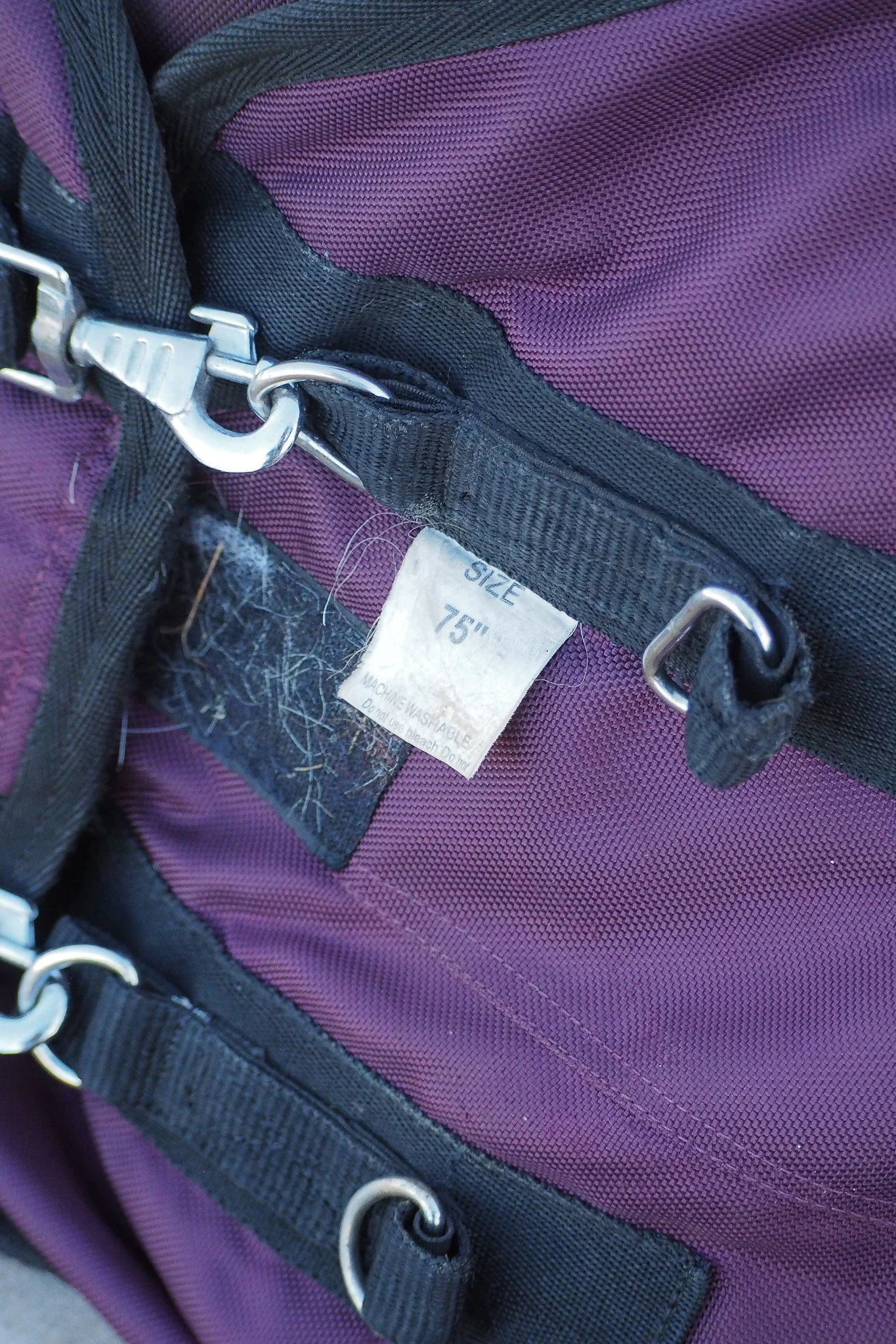 PA220208.jpg