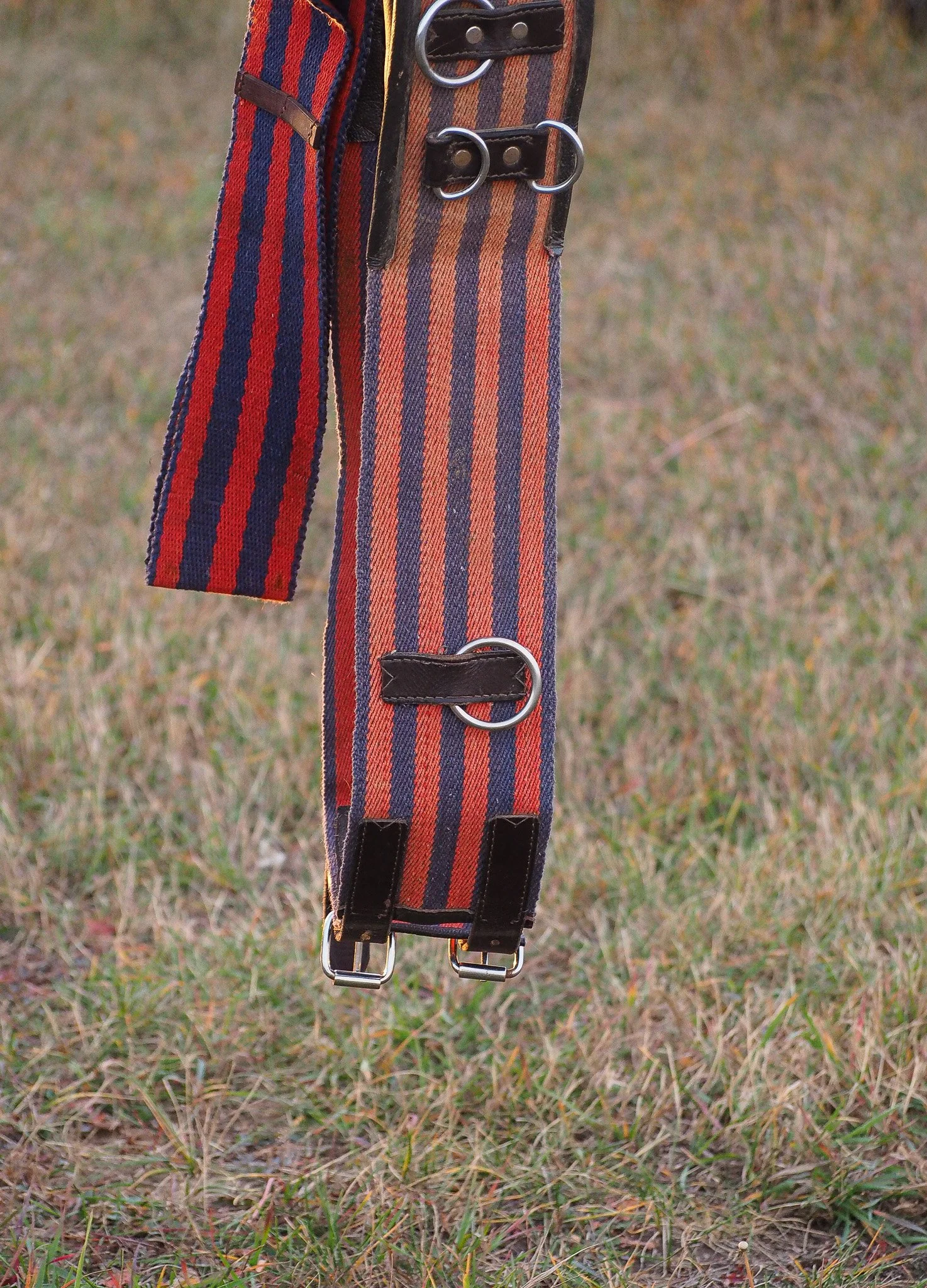 PA070643.jpg
