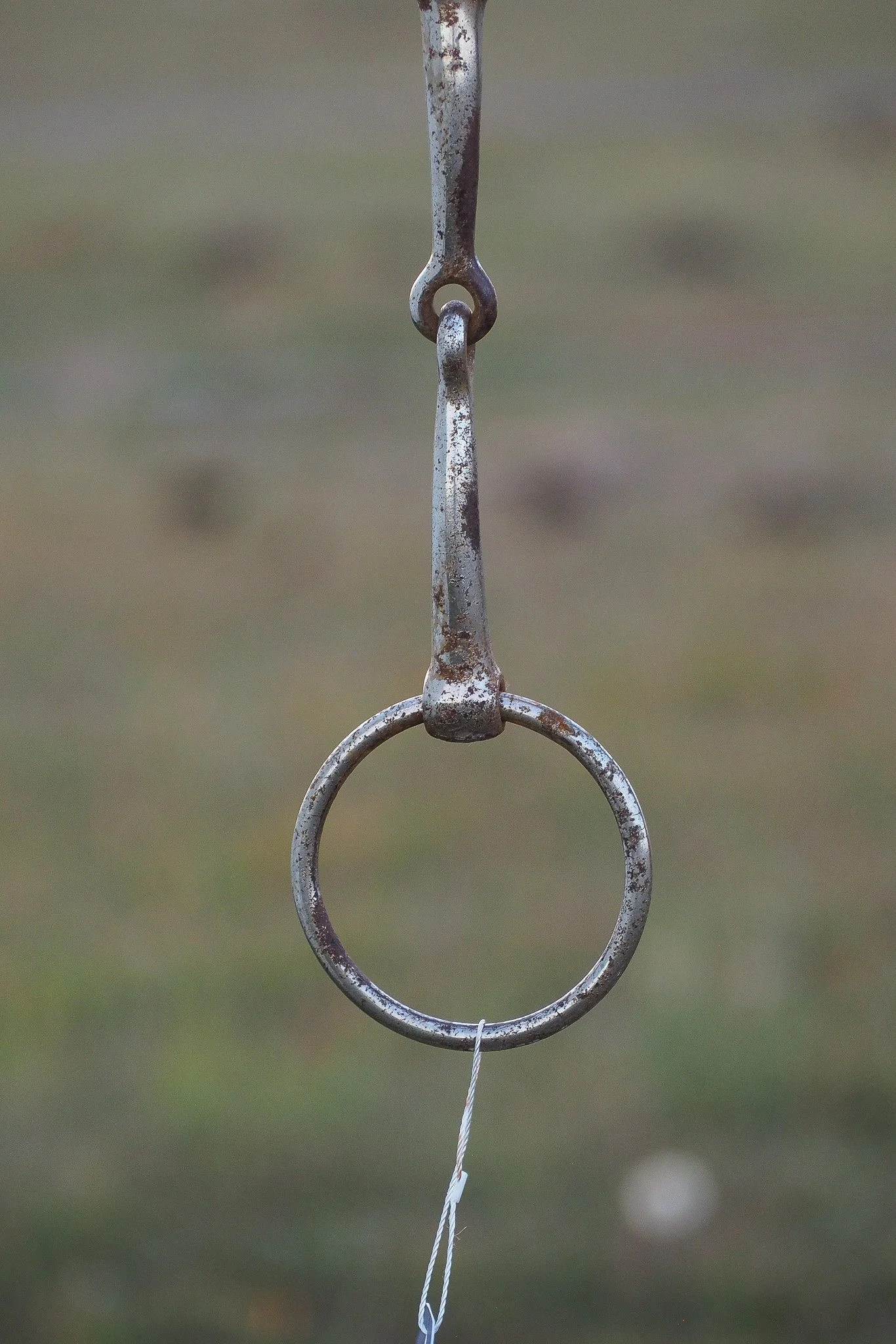 PA030623.jpg