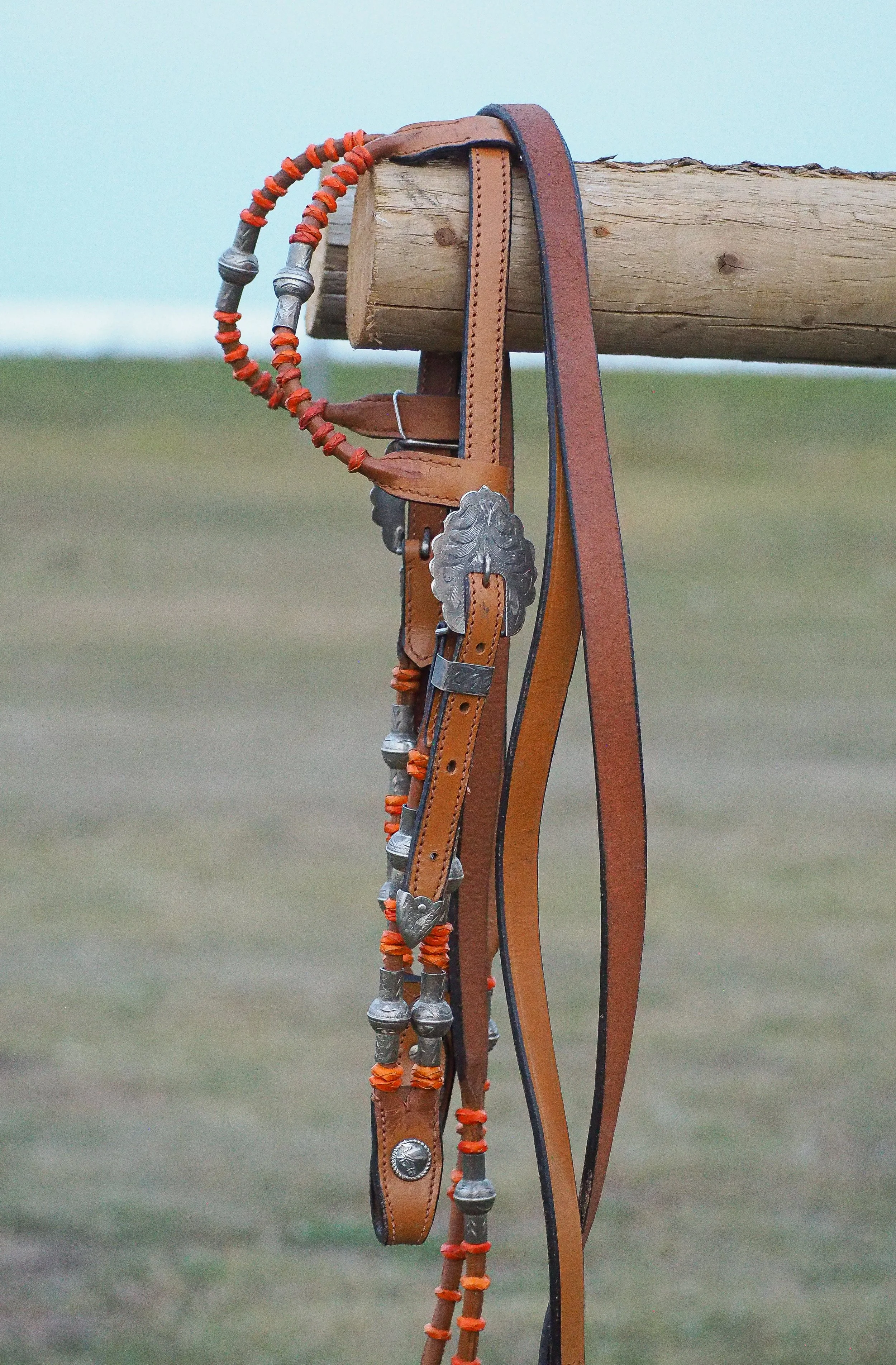PA010576.jpg
