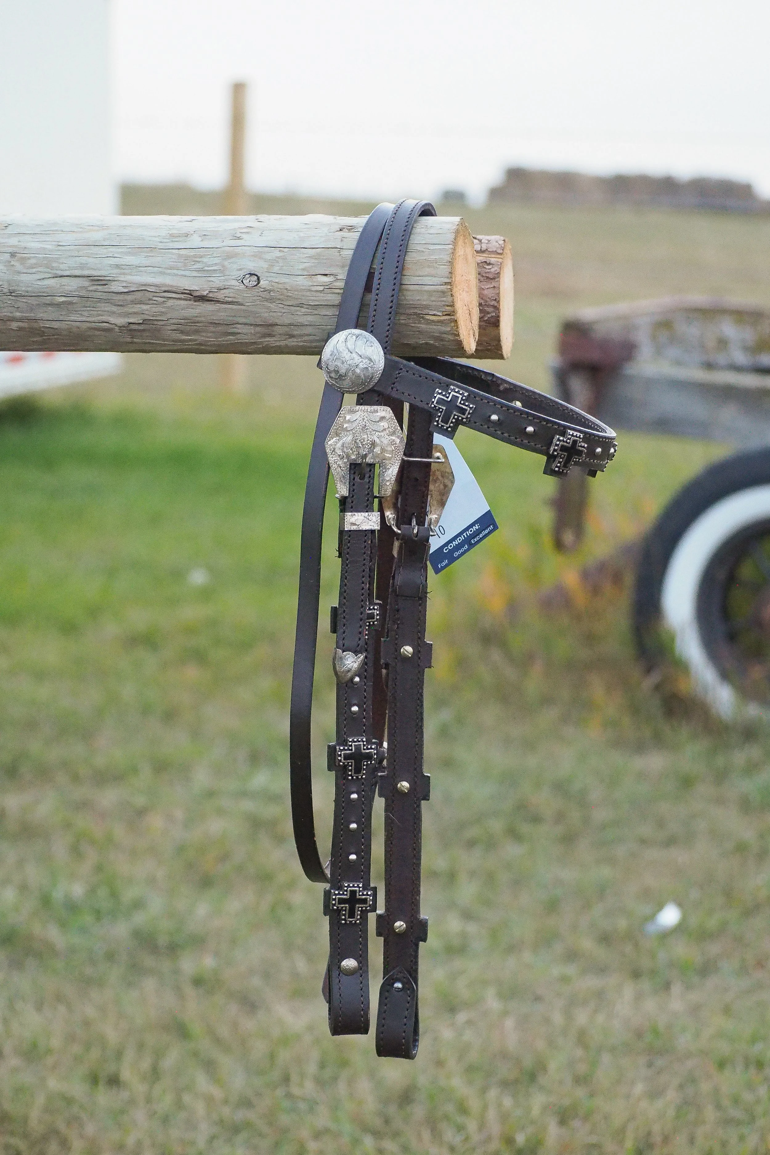Black Crosses Headstall