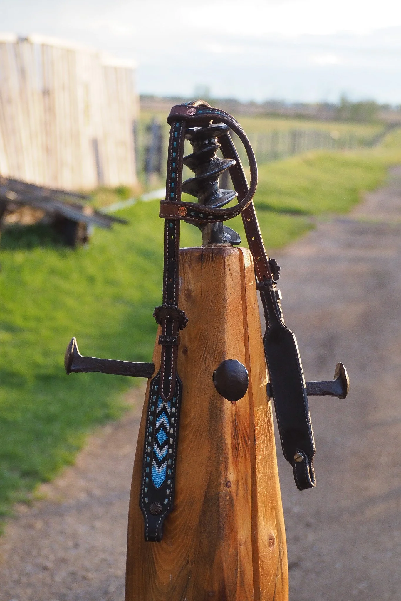 Blue Bead Headstall