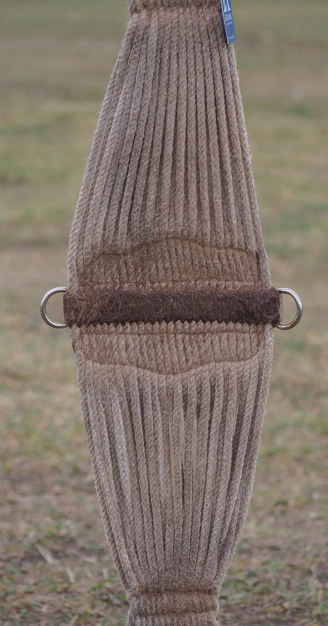 PA020519.jpg