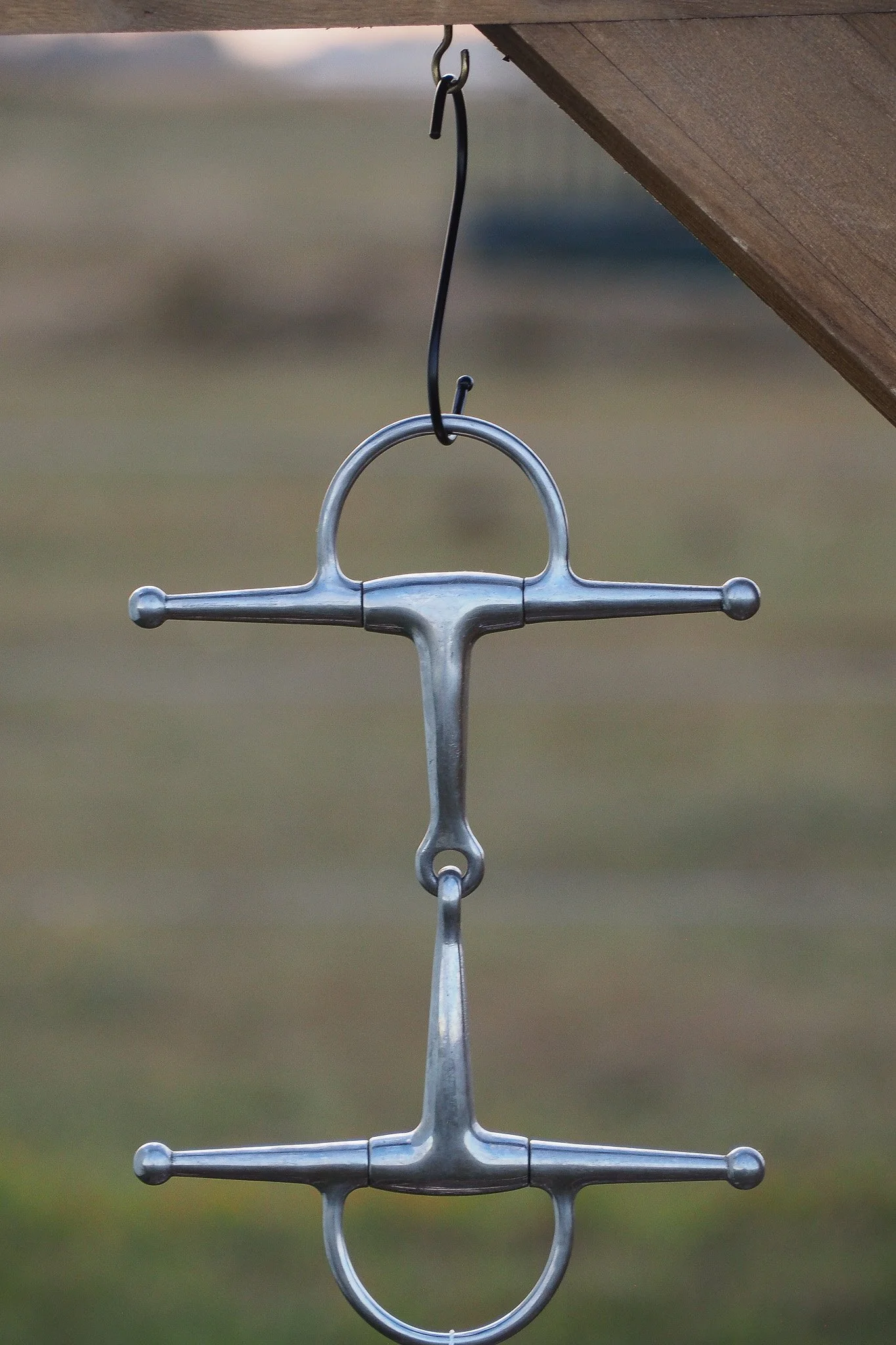 PA030638.jpg
