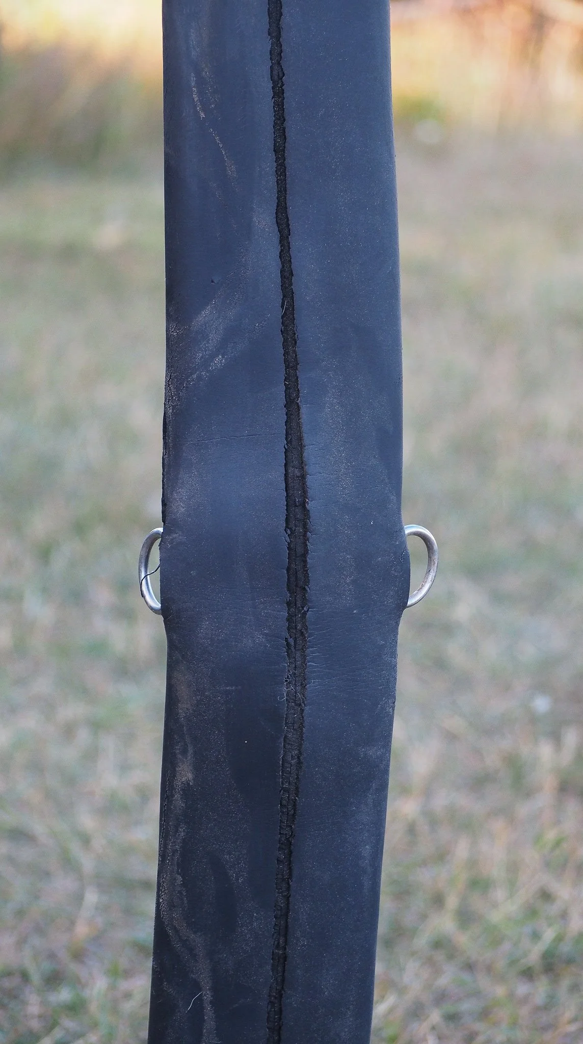 PA030559.jpg
