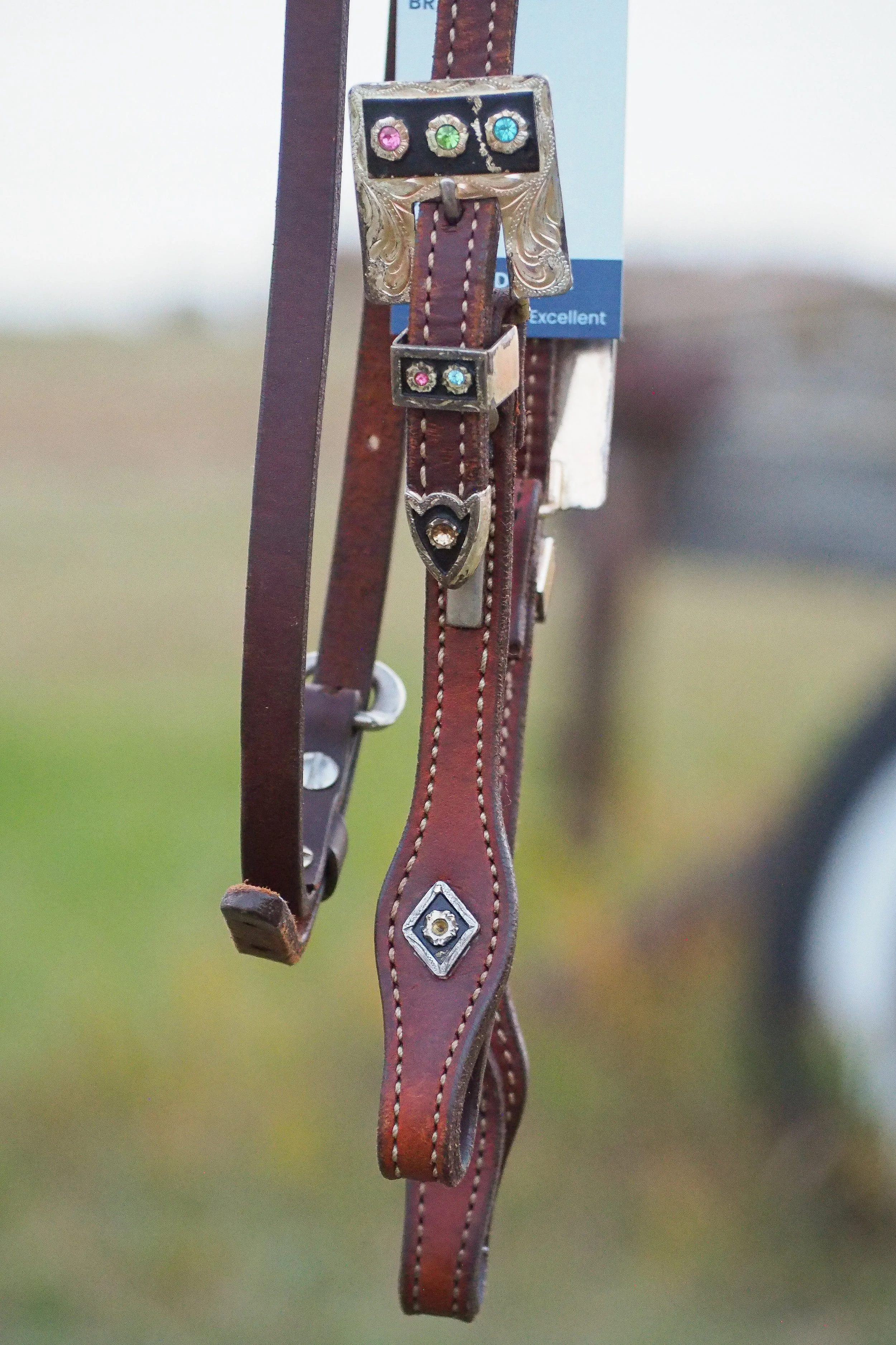 PA010571.jpg